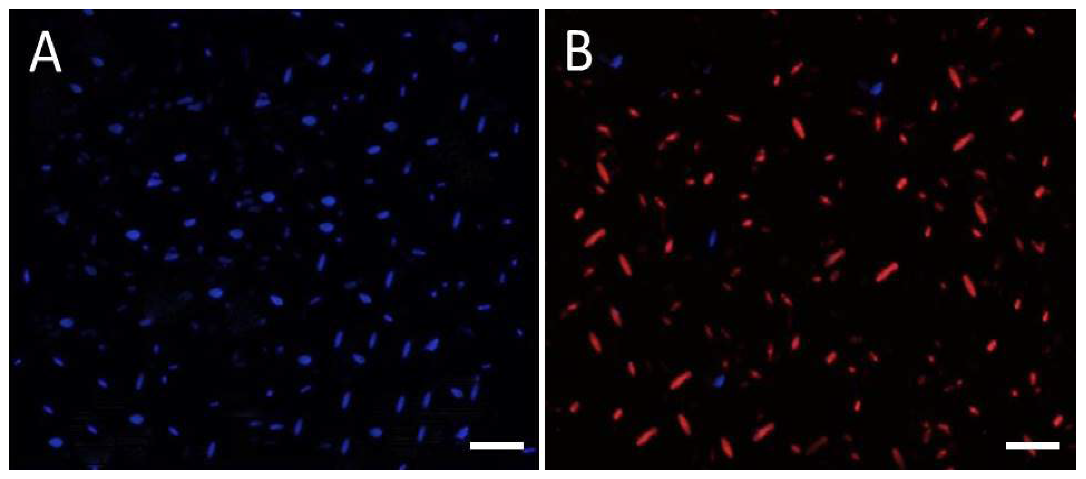 Sustainability 15 14295 g003