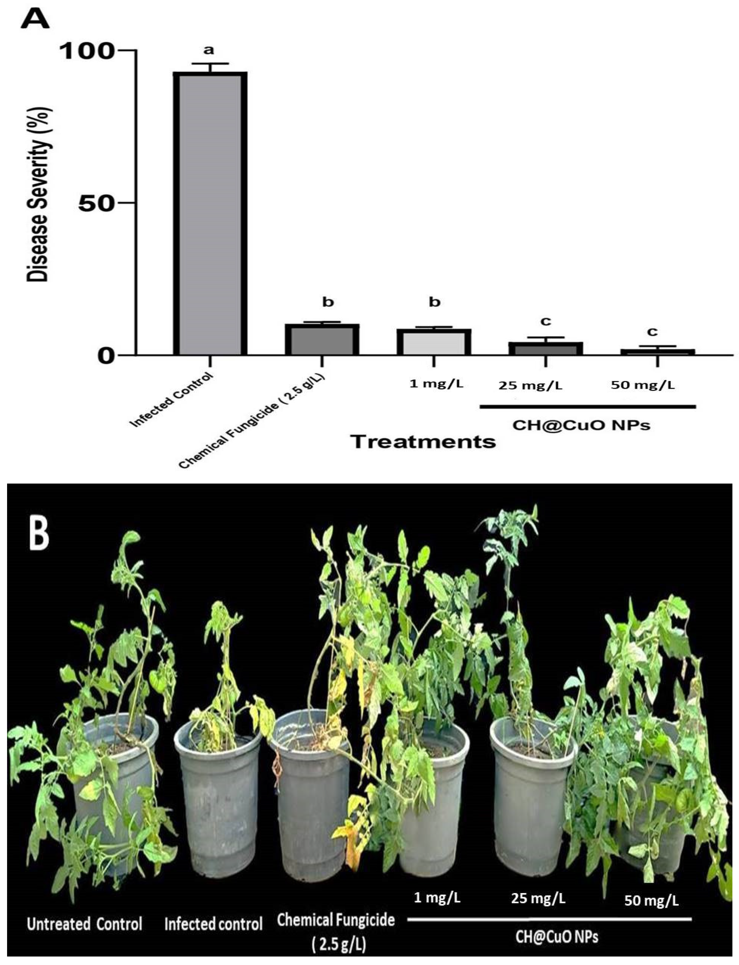 Sustainability 15 14295 g004