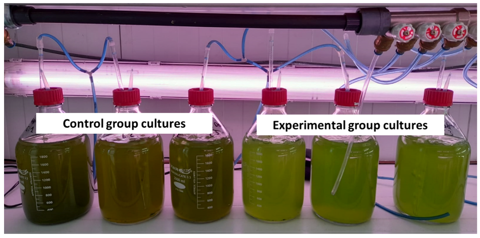 Sustainability 15 14398 g002