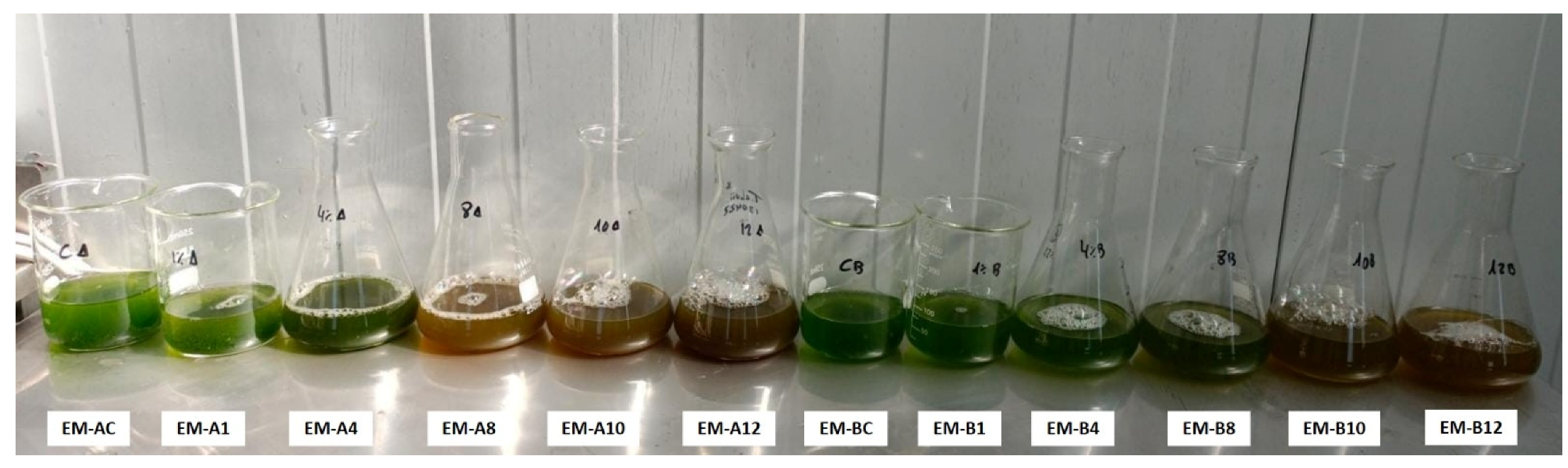 Sustainability 15 14398 g012