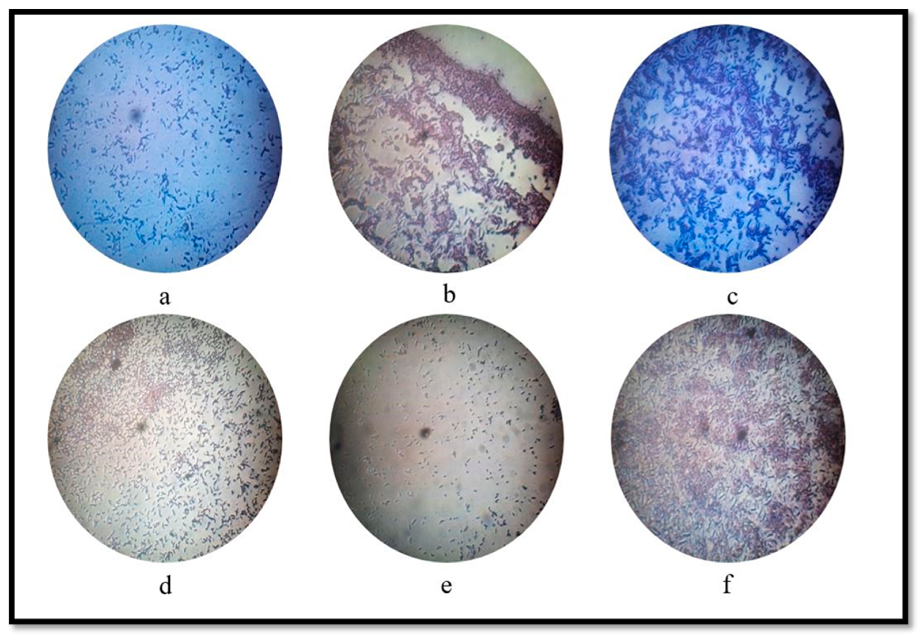 Sustainability 15 14417 g005
