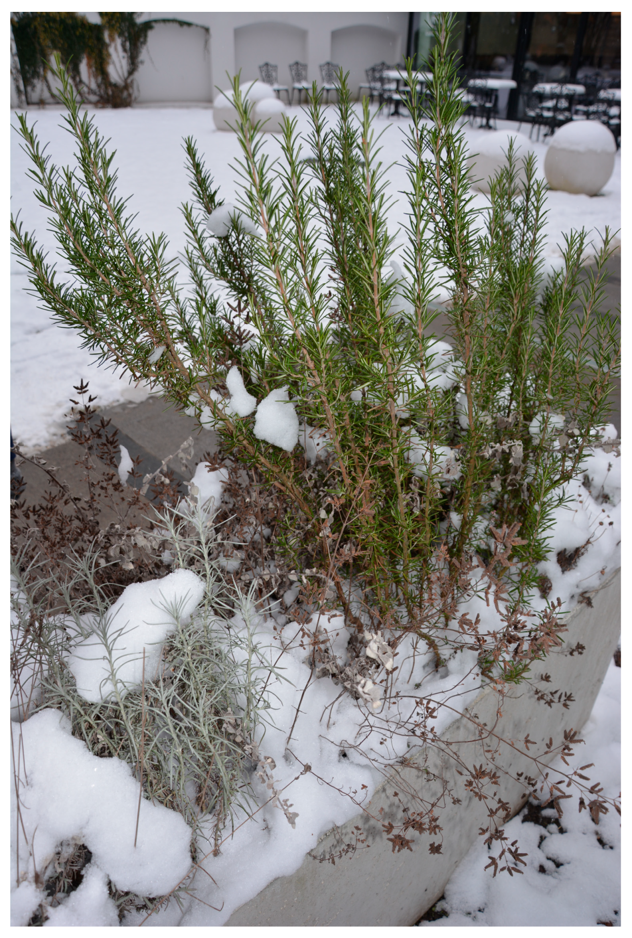 Sustainability 15 14420 g004