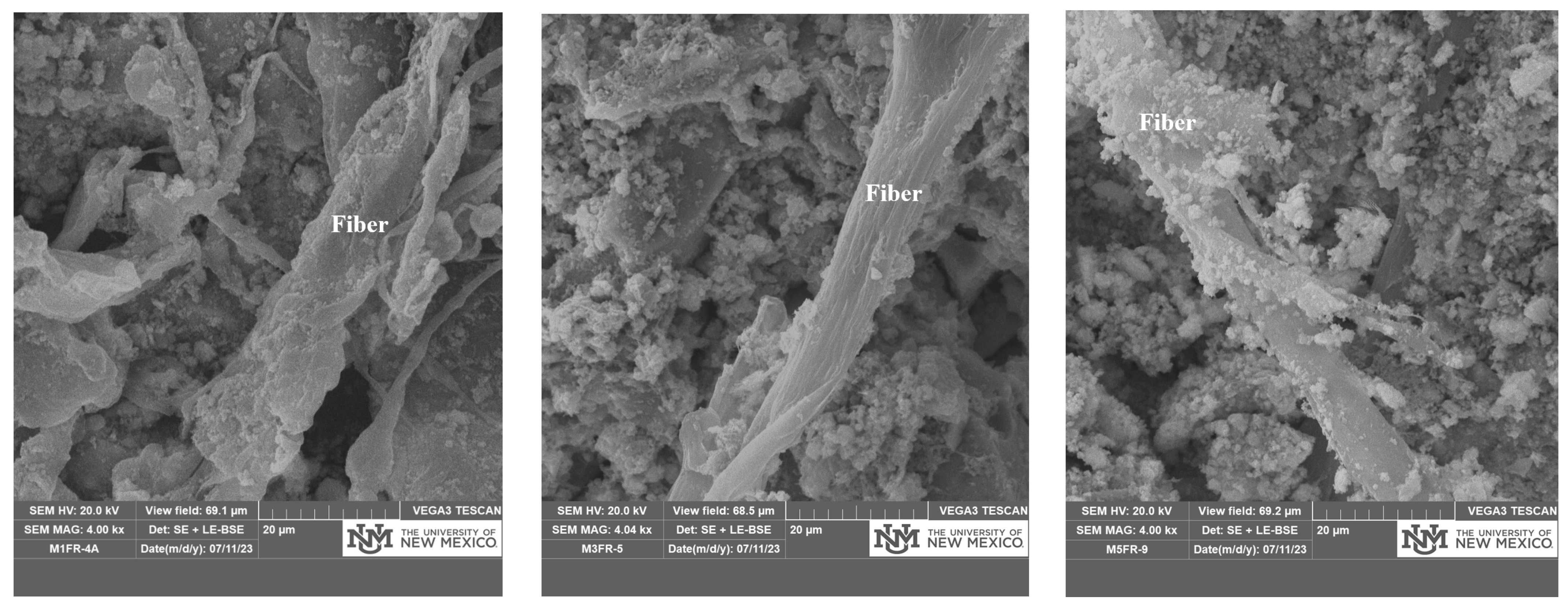 Sustainability 15 14425 g010