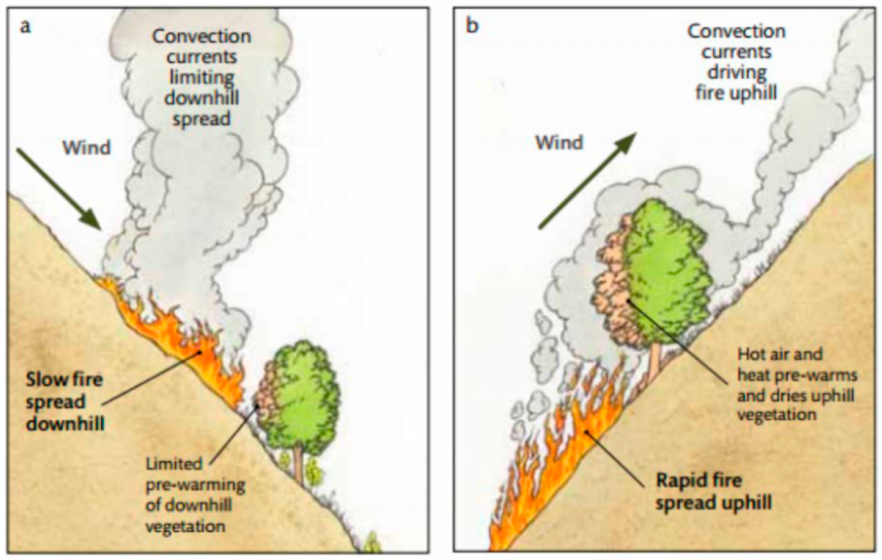 Sustainability 15 14454 g001