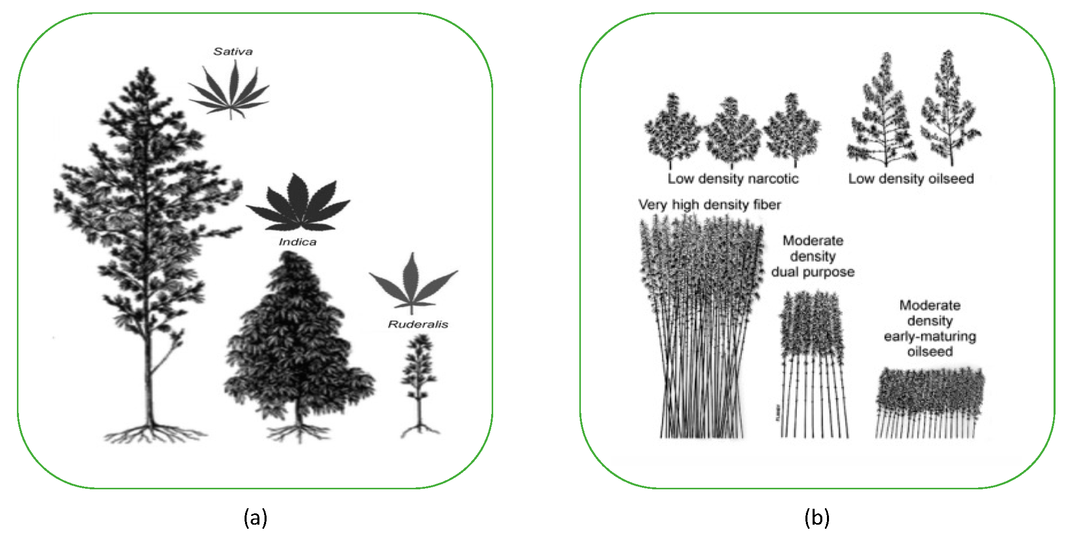 Sustainability 15 14471 g003