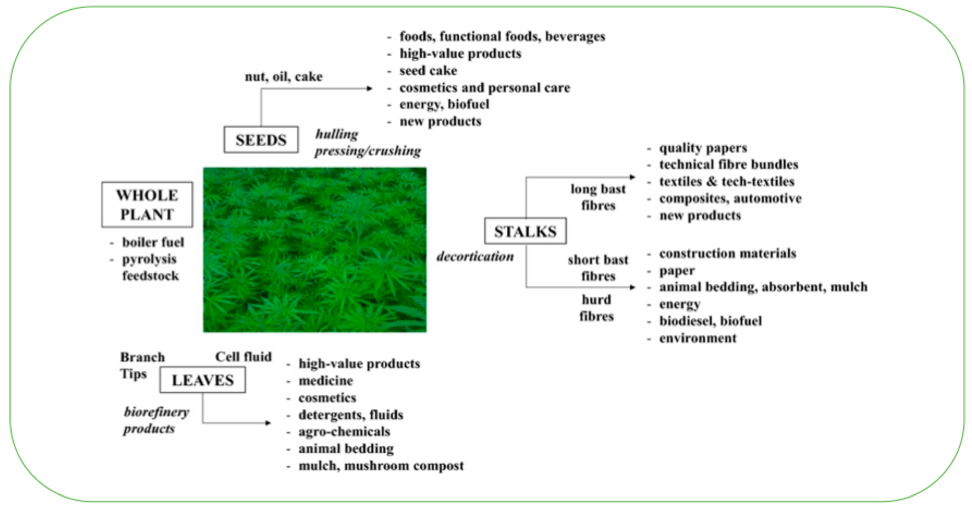 Sustainability 15 14471 g004