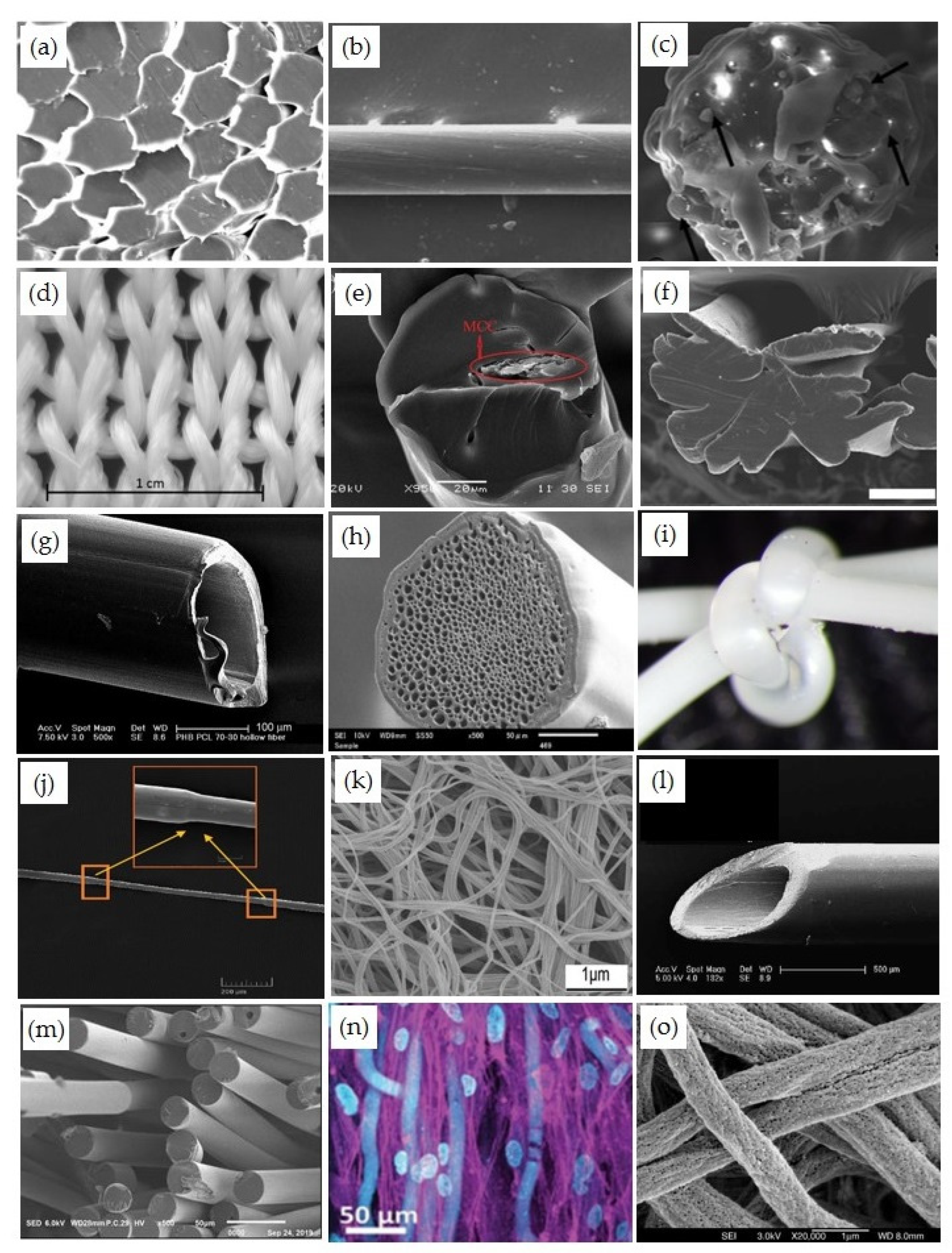 Sustainability 15 14474 g007 Sustainability 15 14474 g007