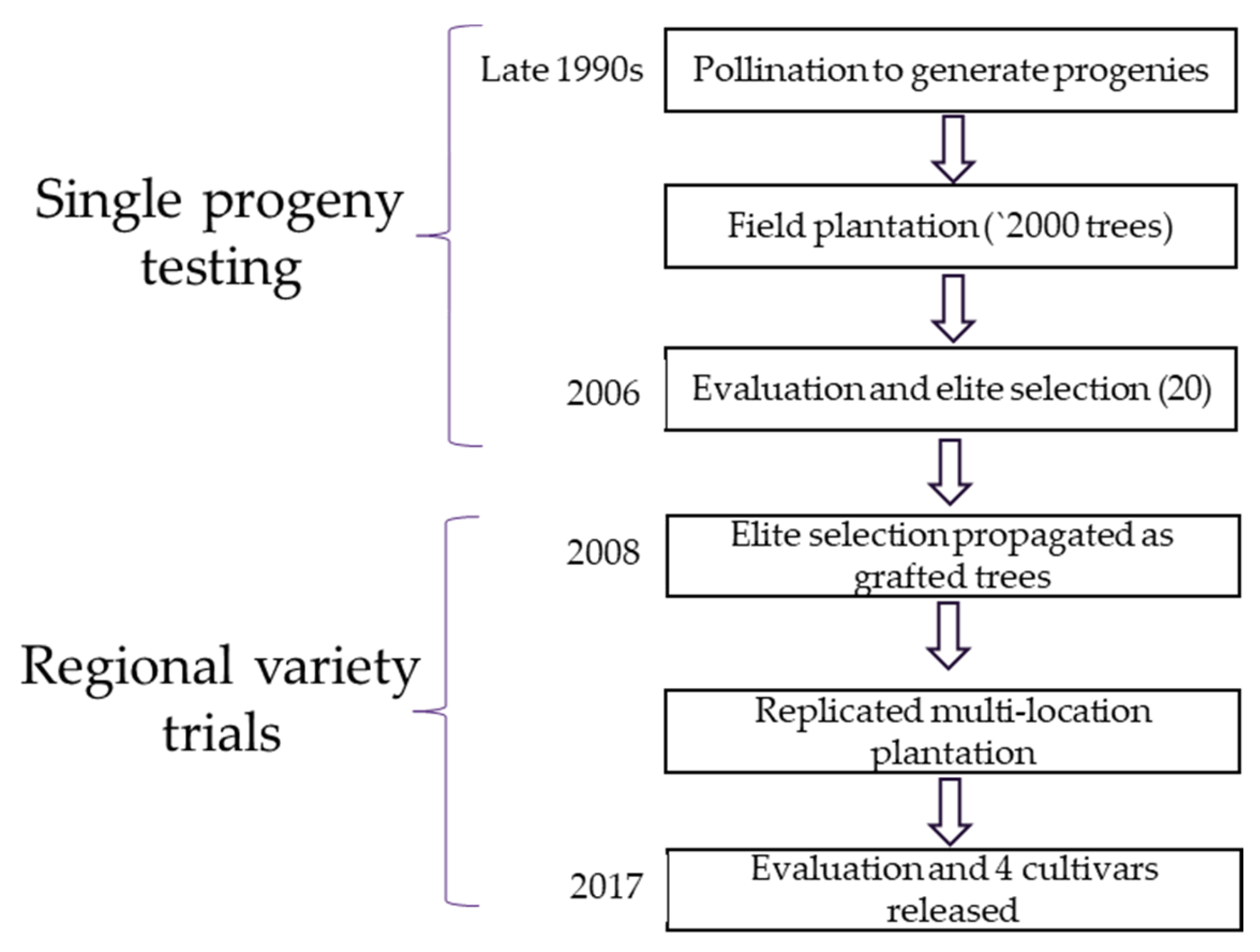 Sustainability 15 14506 g001 Sustainability 15 14506 g001