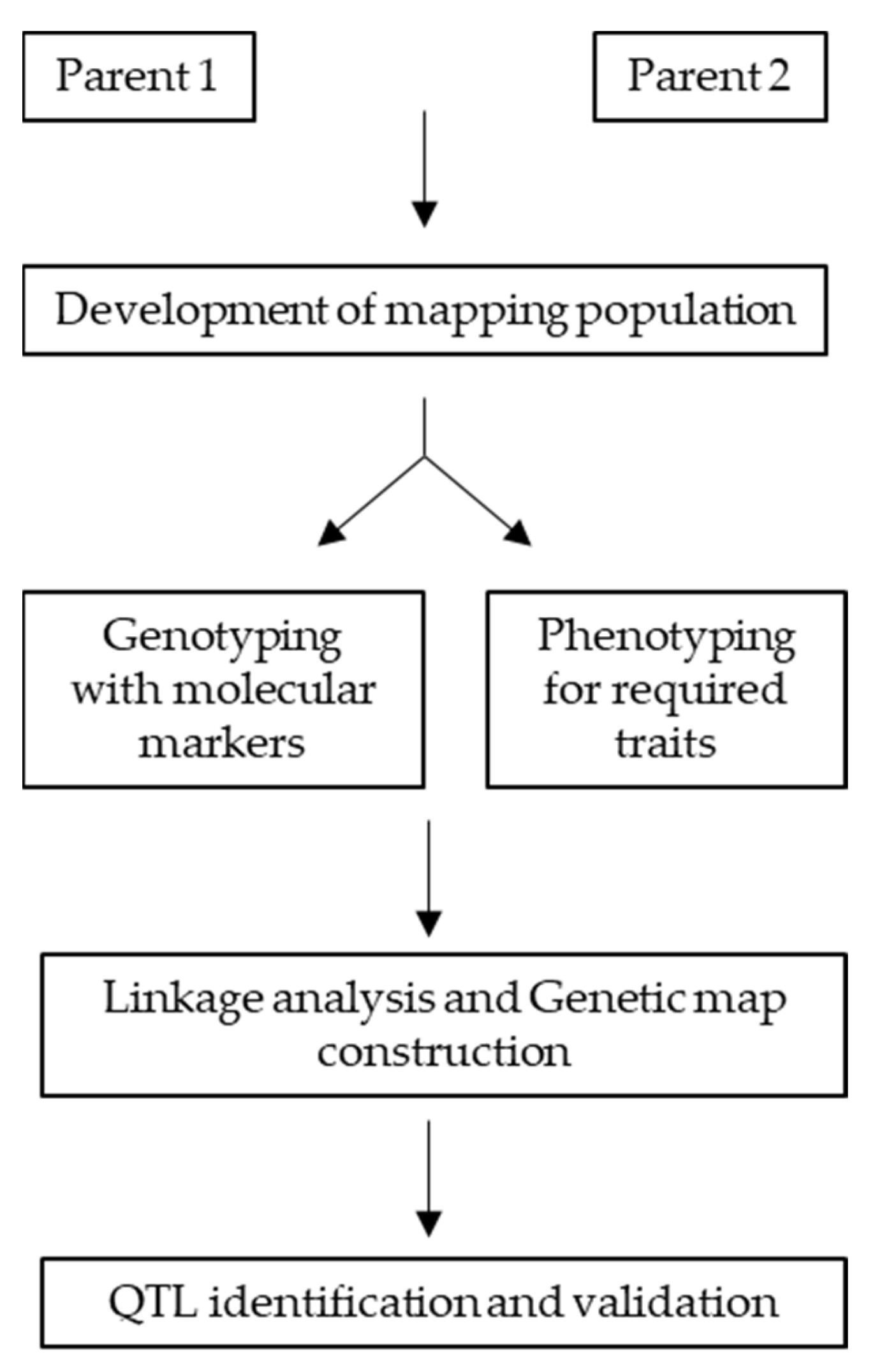 Sustainability 15 14506 g002 Sustainability 15 14506 g002