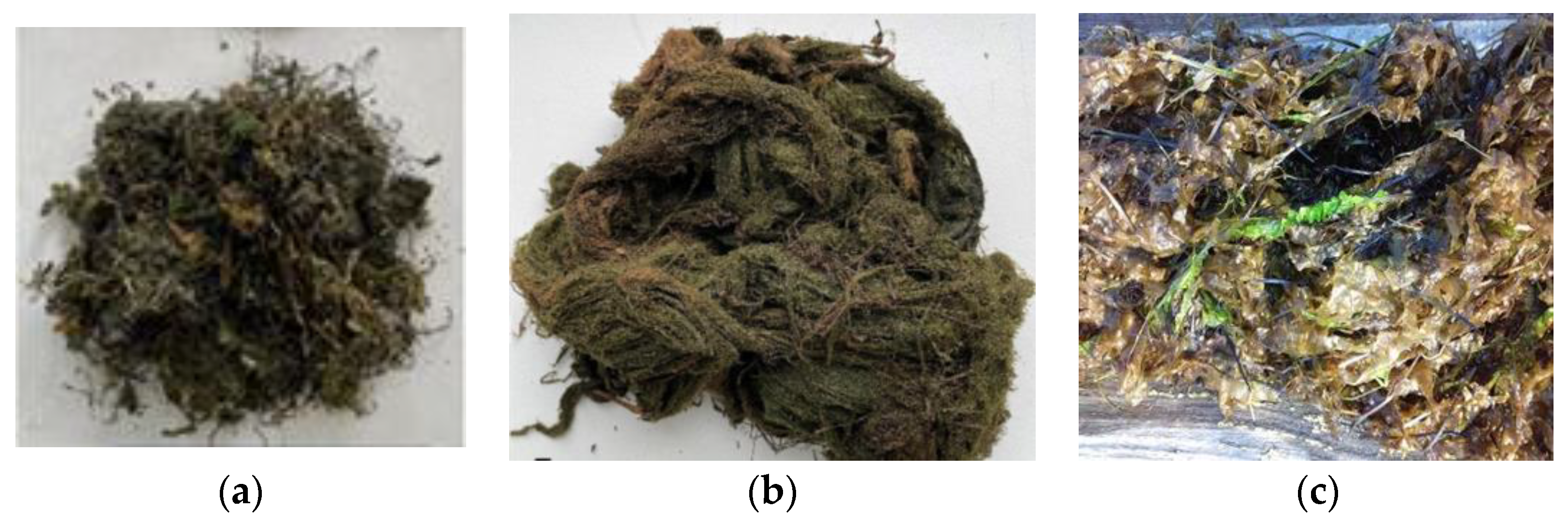 Sustainability 15 14542 g001