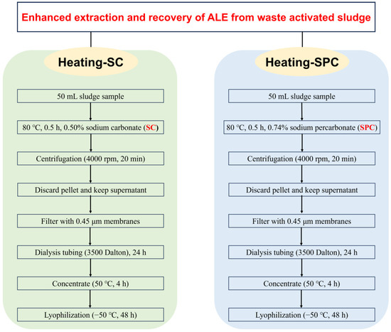 Enhanced Recovery of Alginate-like Extracellular Polymers