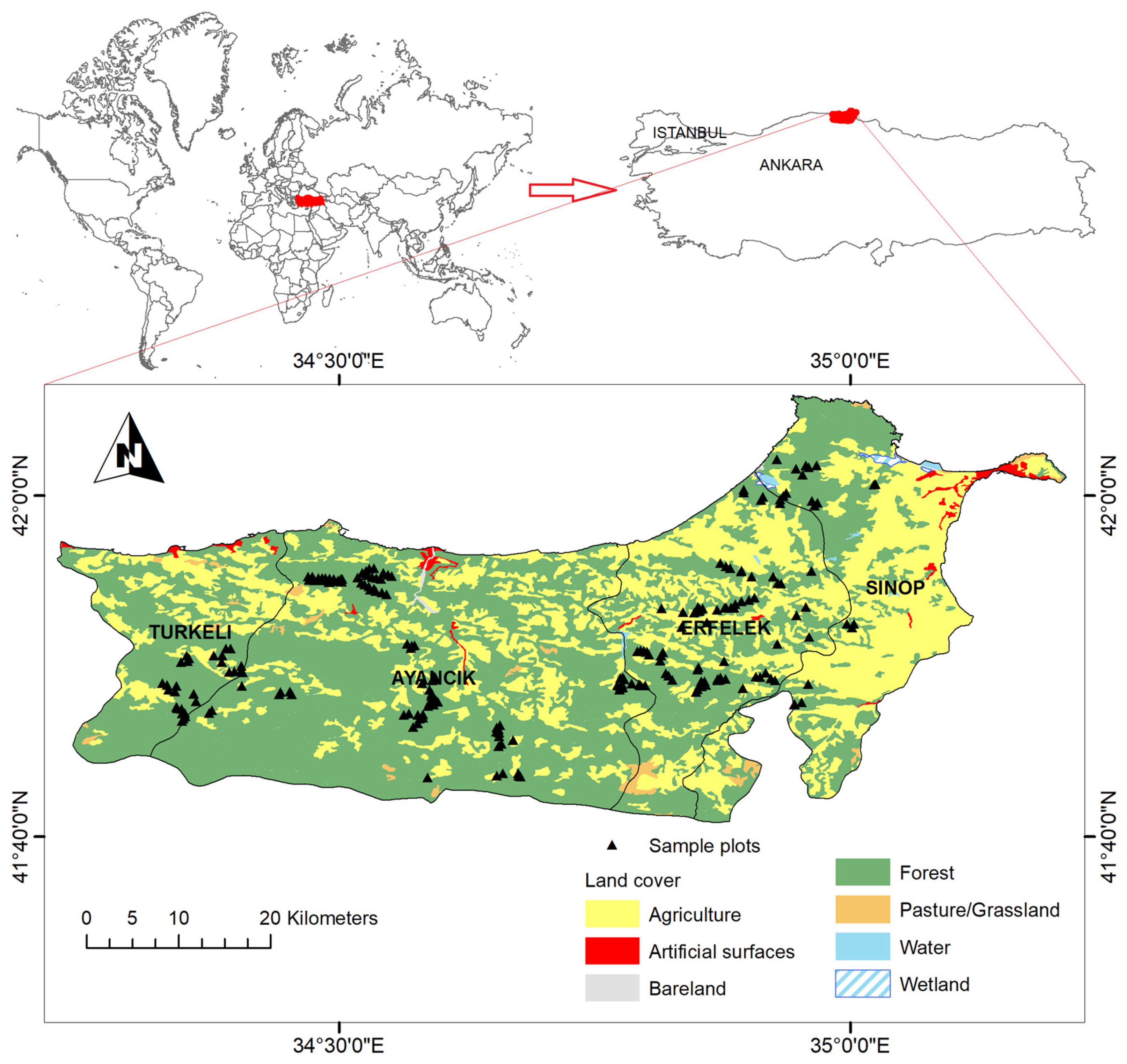 Sustainability 15 14580 g001 Sustainability 15 14580 g001