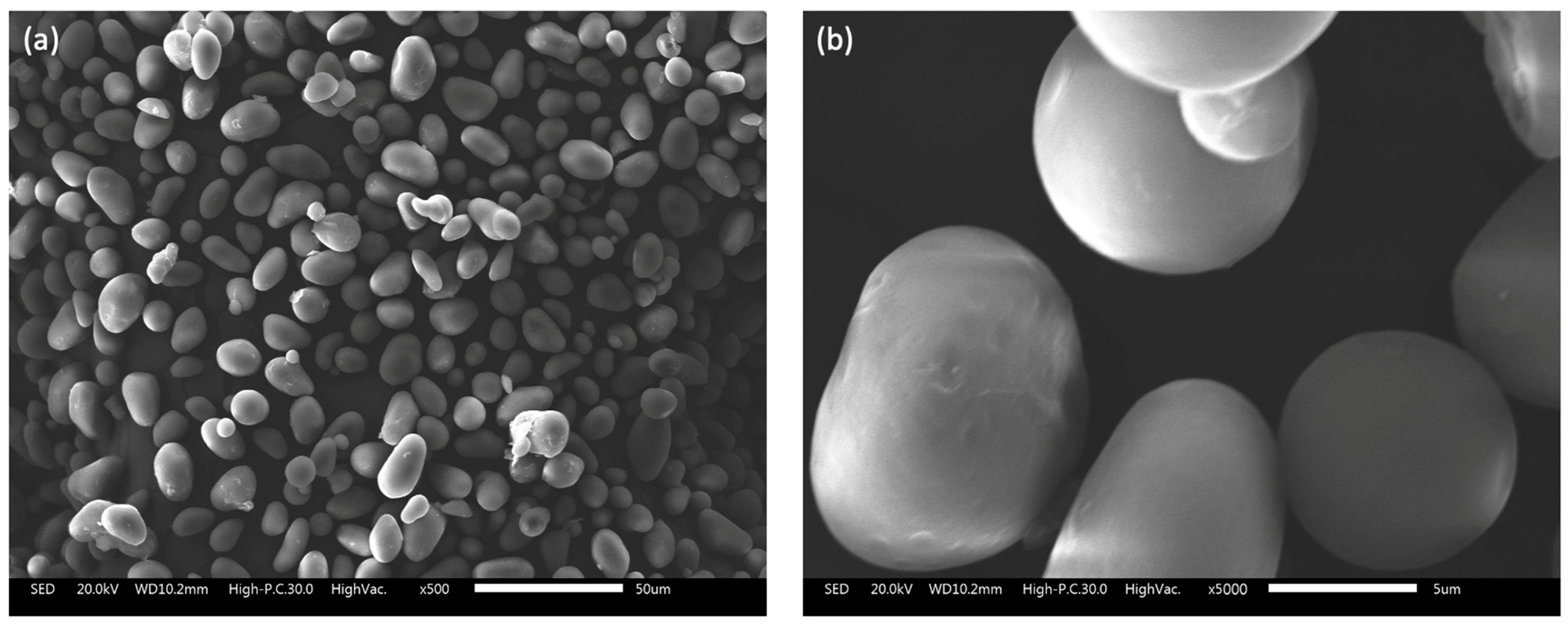 Sustainability 15 14583 g003 Sustainability 15 14583 g003