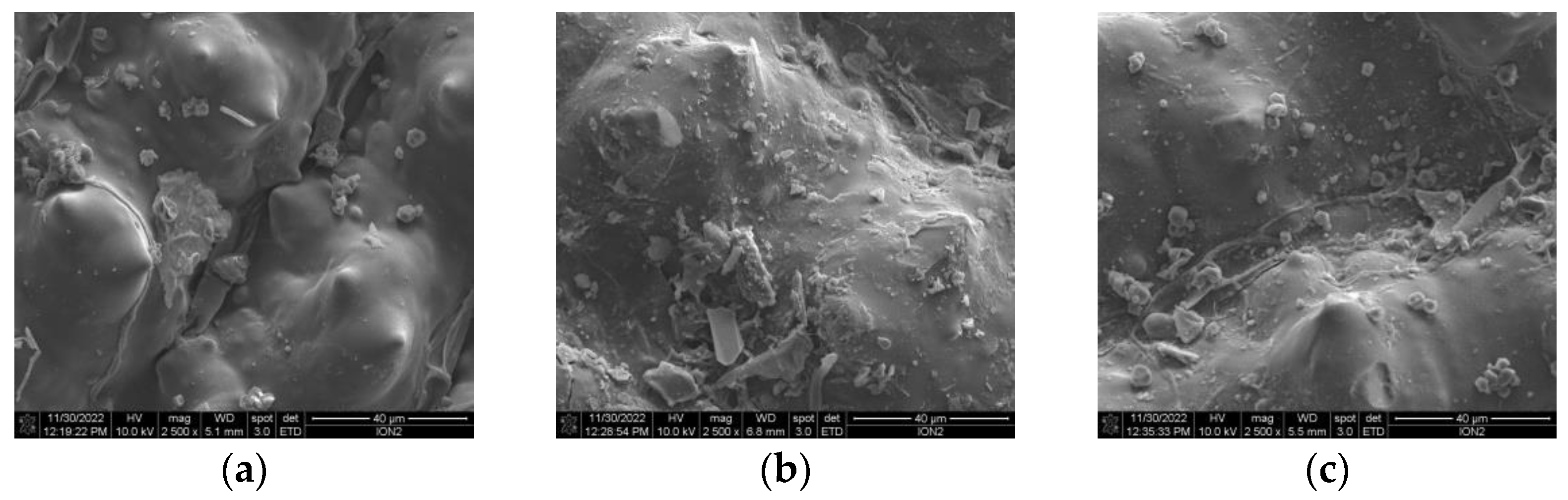 Sustainability 15 14599 g005 Sustainability 15 14599 g005