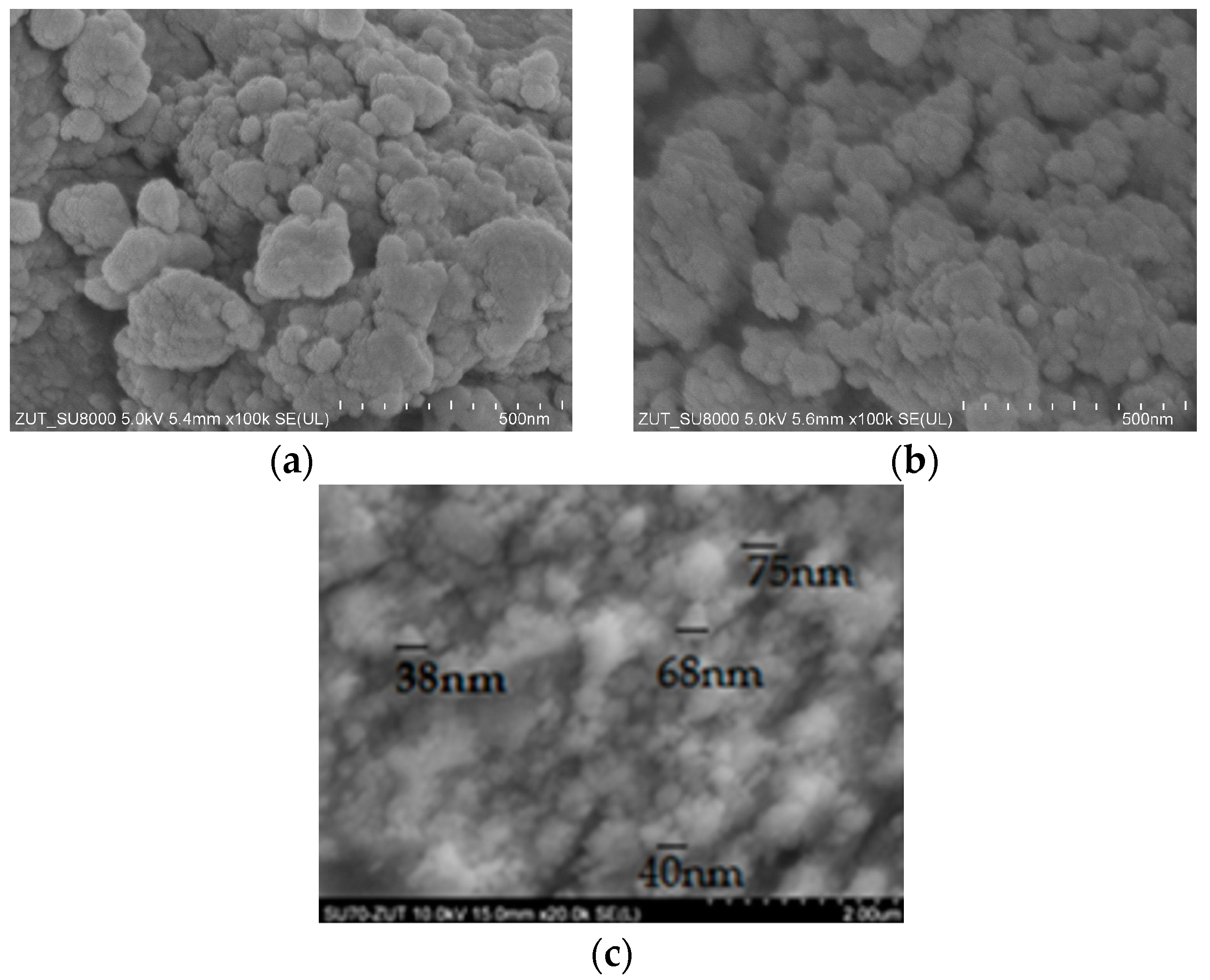 Sustainability 15 14606 g003