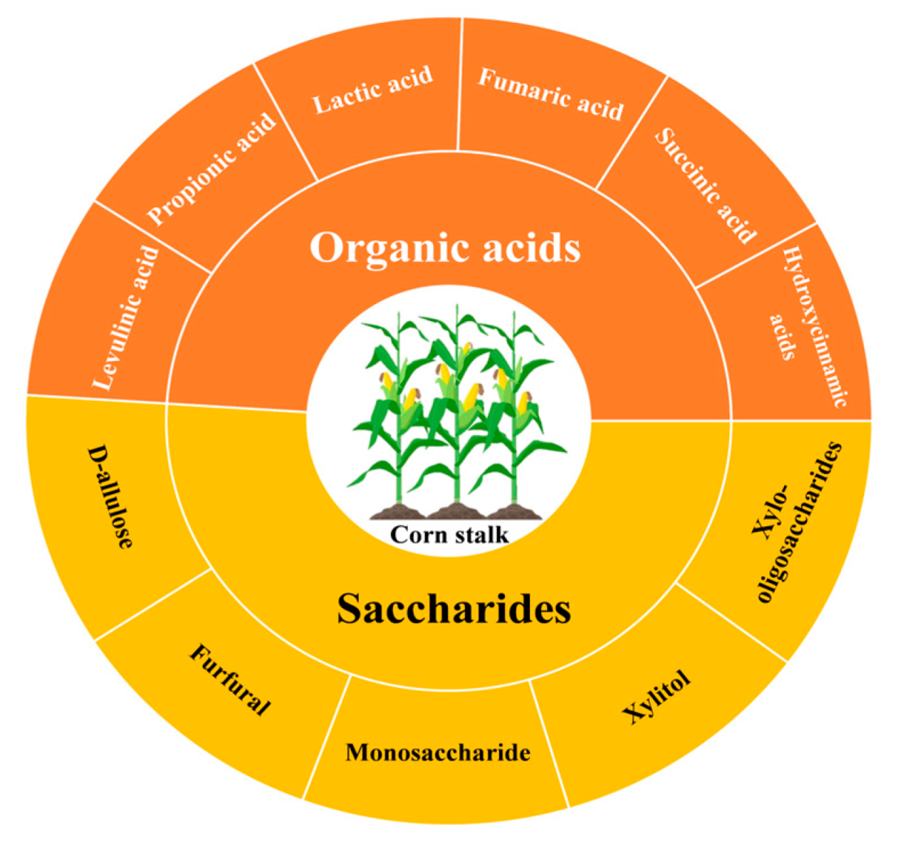 Sustainability 15 14618 g002