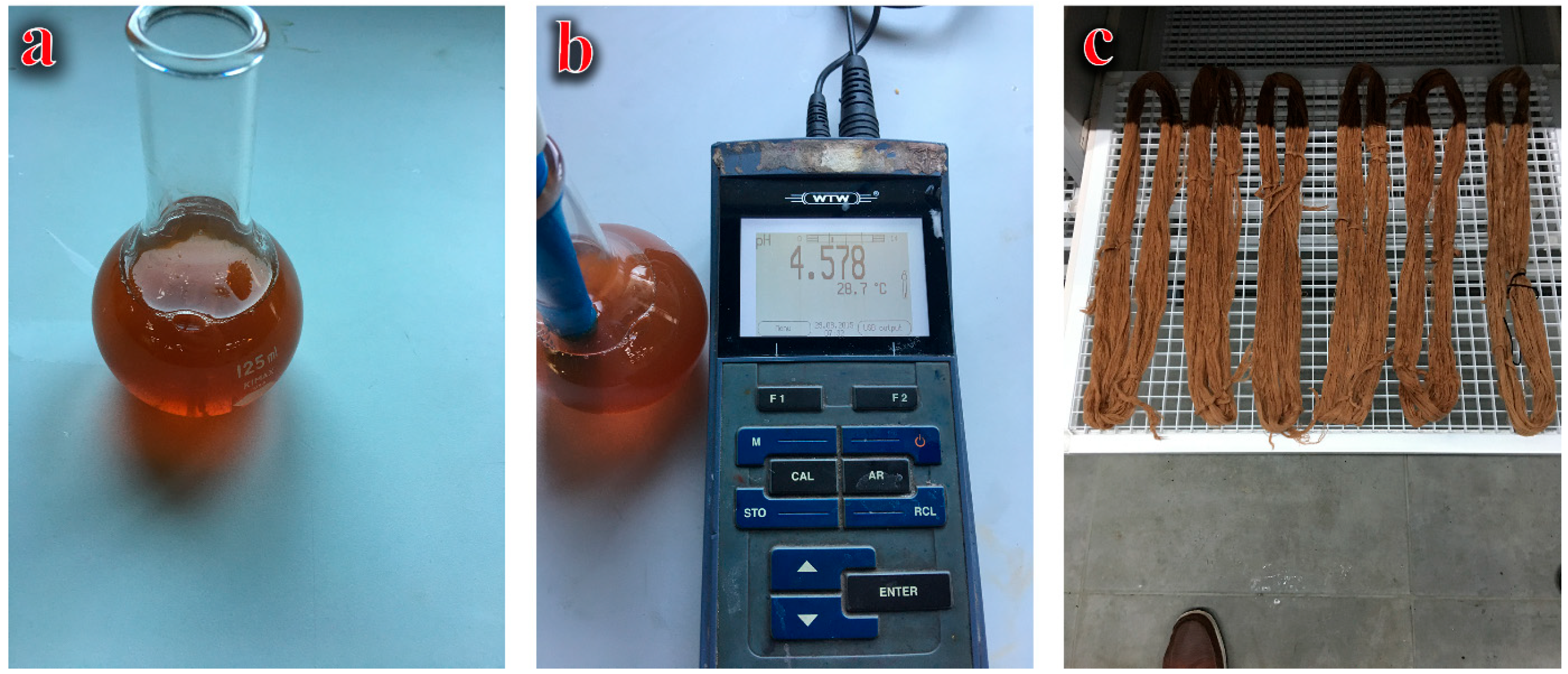 Sustainability 15 14639 g001