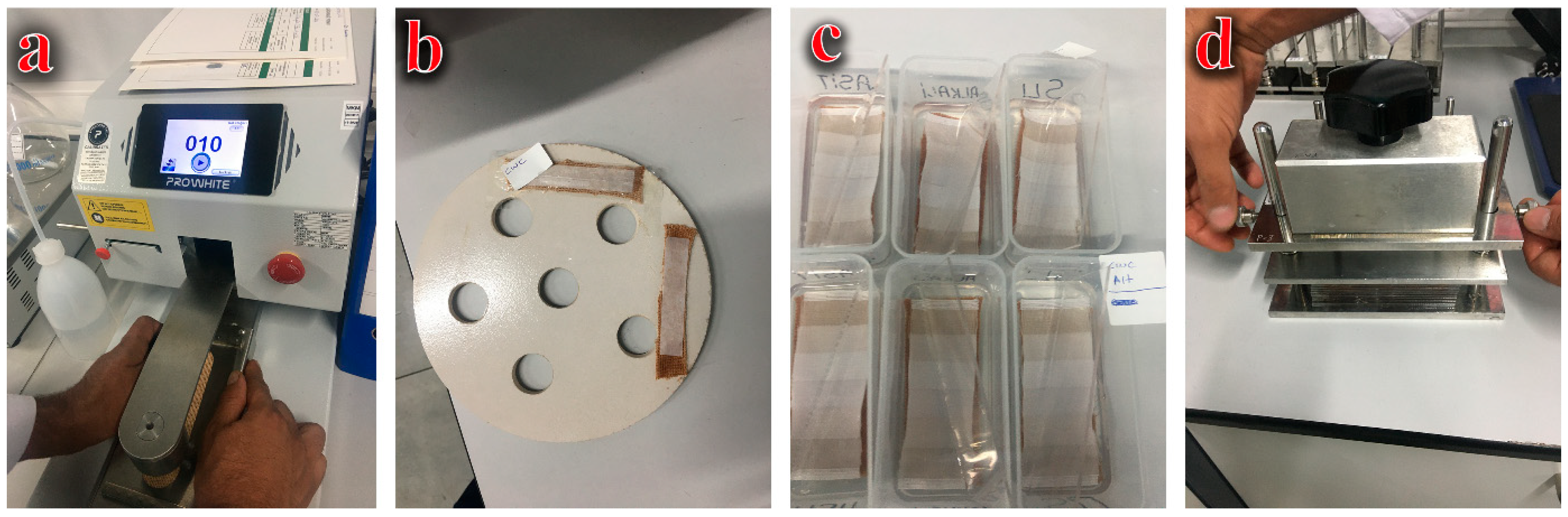 Sustainability 15 14639 g004