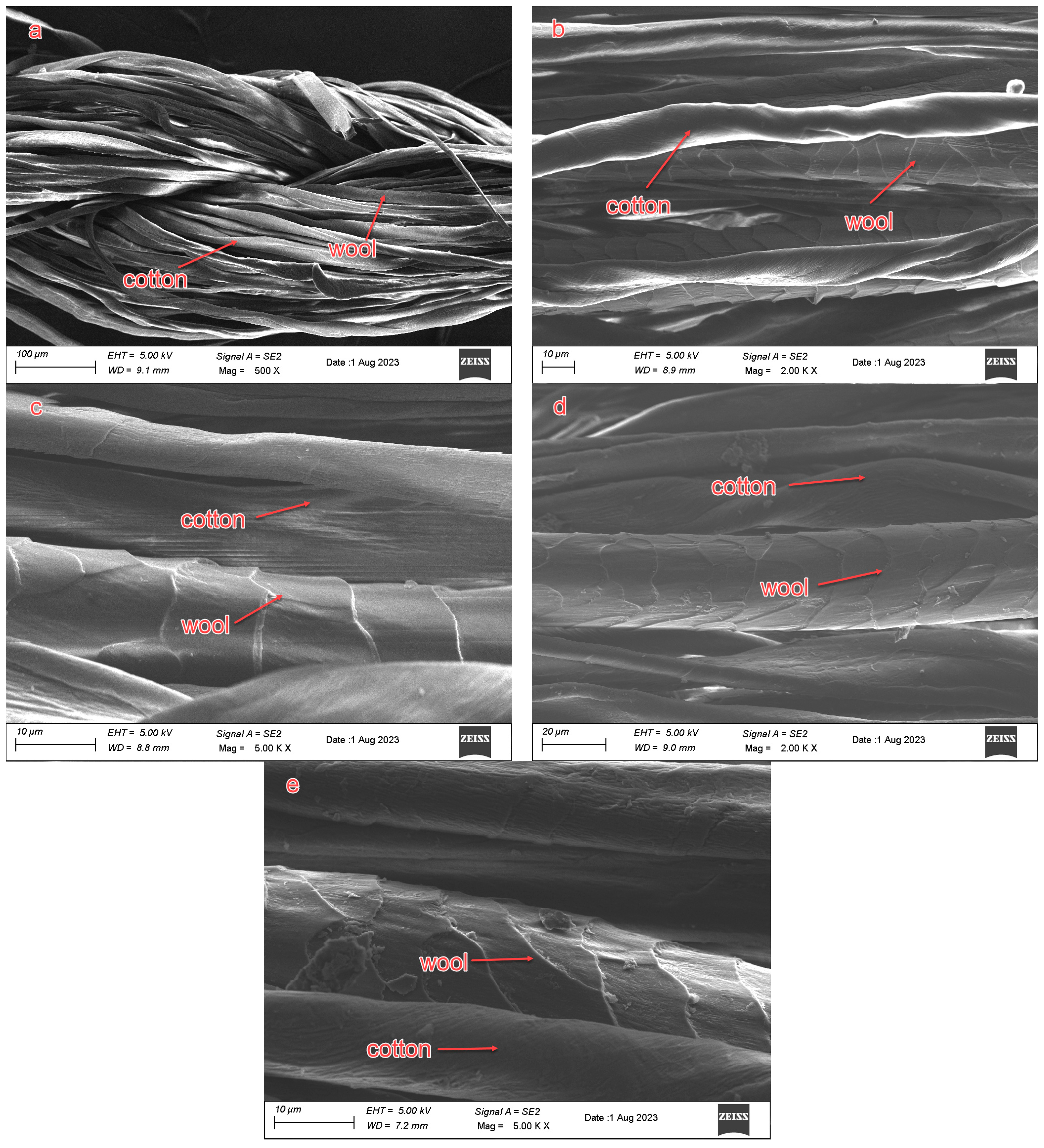 Sustainability 15 14639 g009