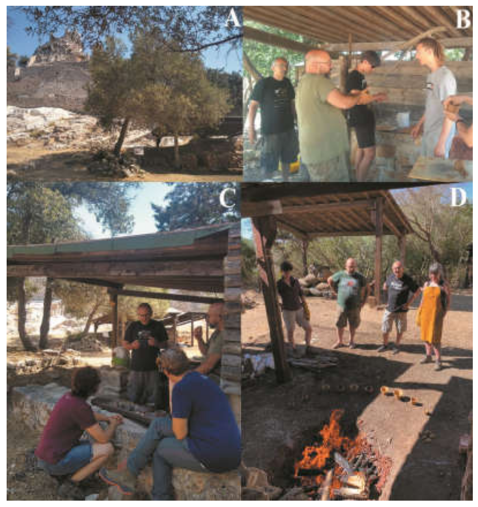 Sustainability 15 14685 g001