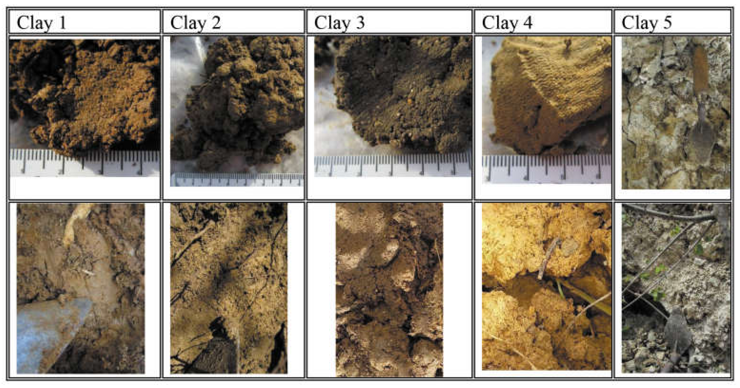 Sustainability 15 14685 g003