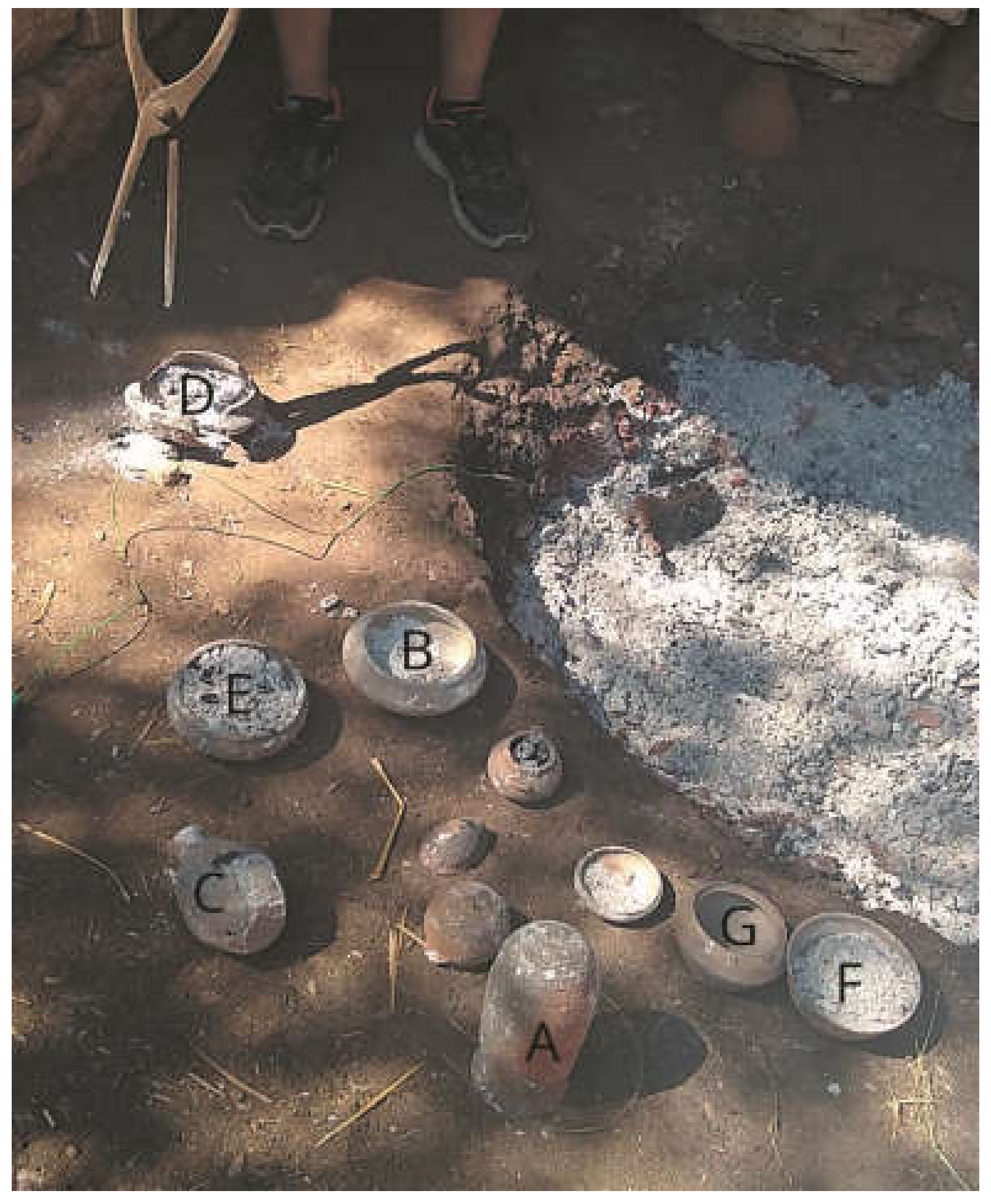 Sustainability 15 14685 g005