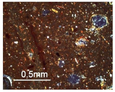 Sustainability 15 14685 i004