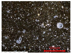 Sustainability 15 14685 i005