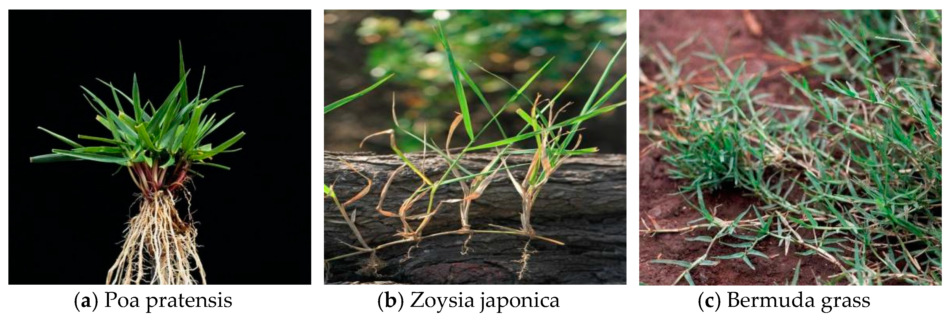 Sustainability 15 14688 g001