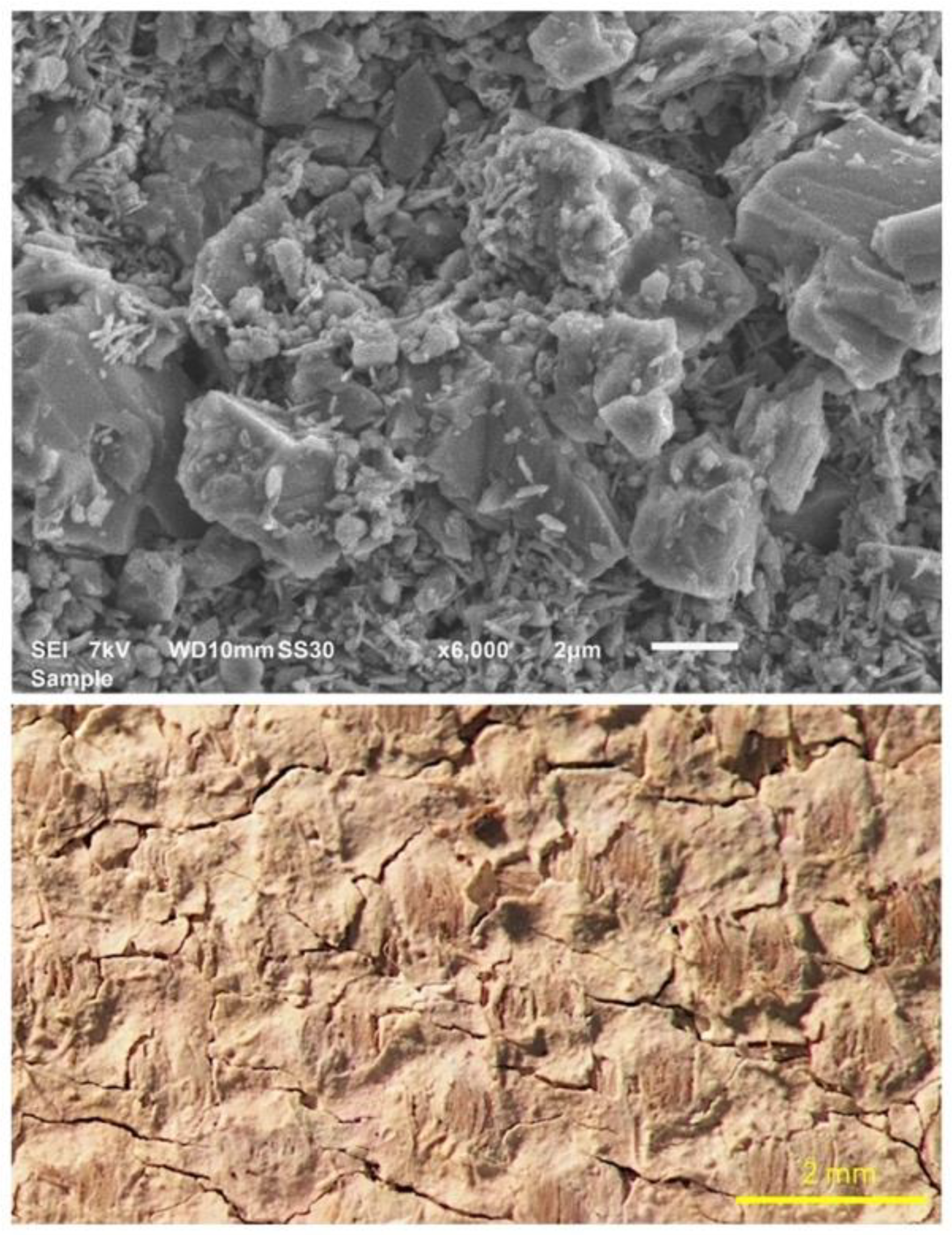 Sustainability 15 14699 g001 Sustainability 15 14699 g001