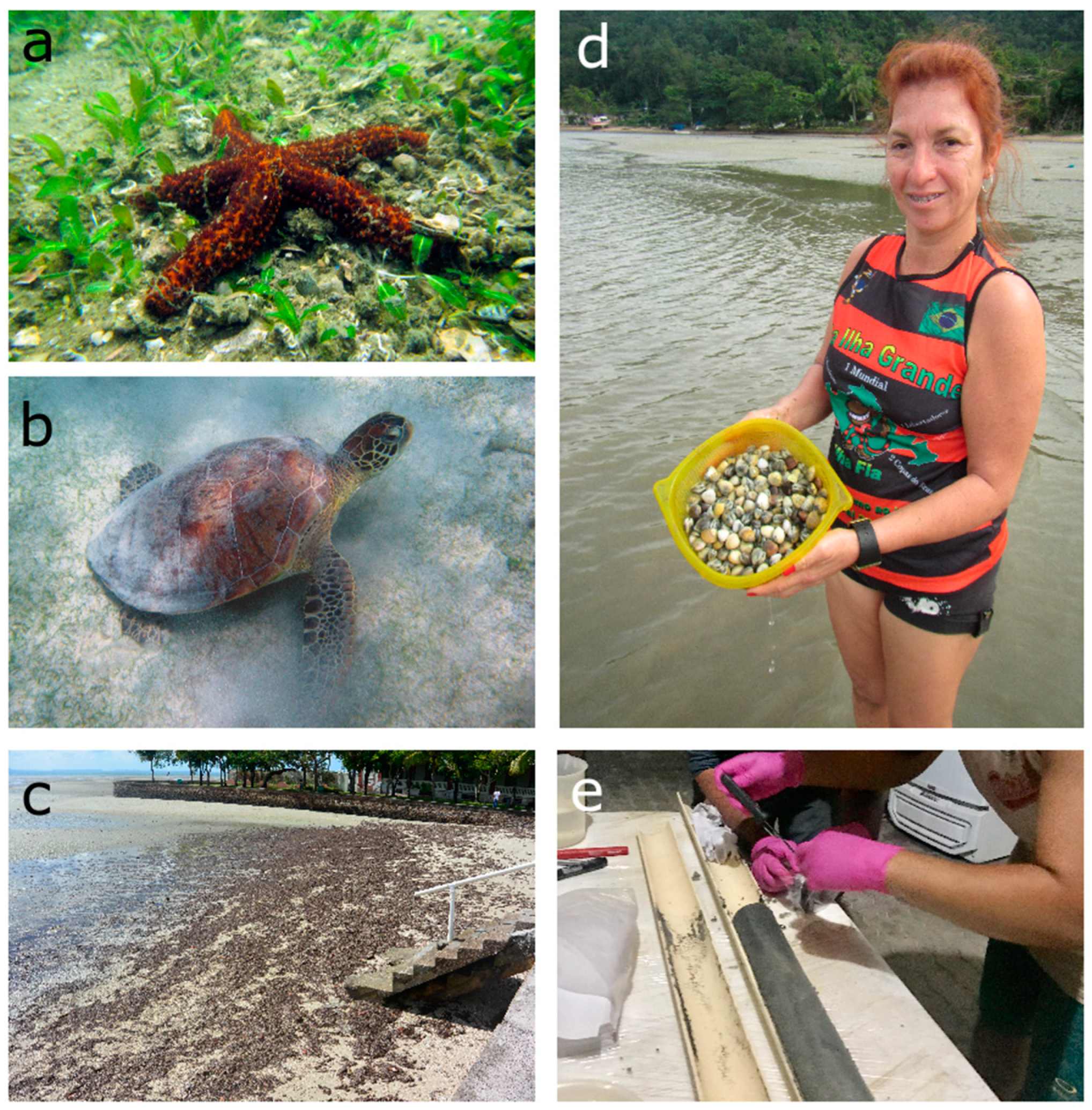 Sustainability 15 14722 g012