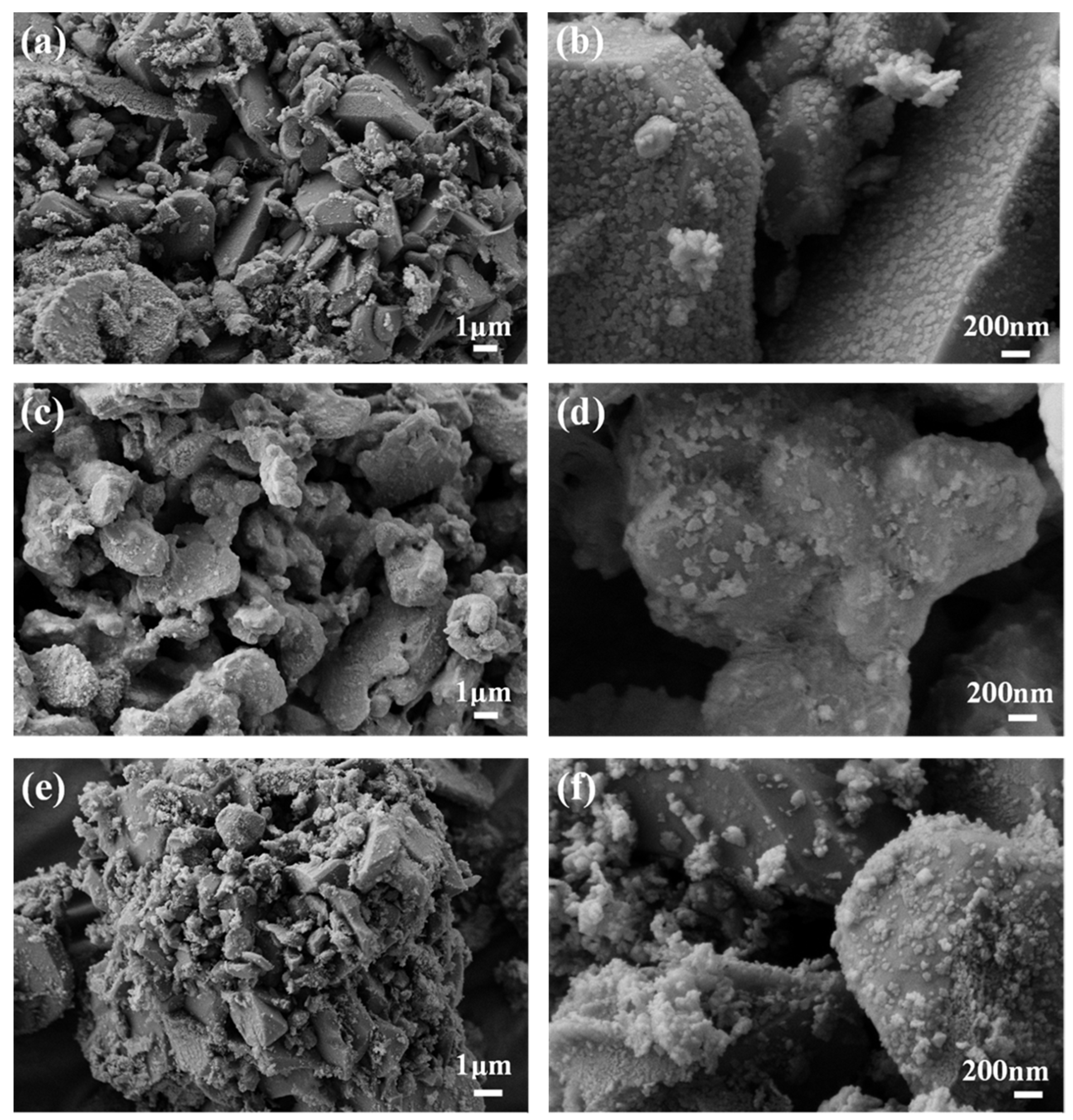 Sustainability 15 14762 g002