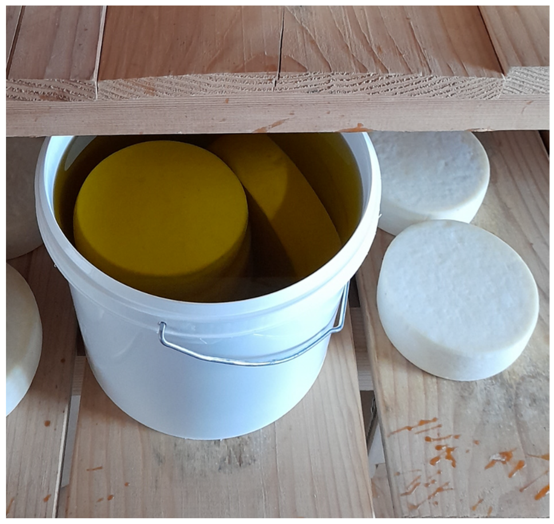 Sustainability 15 14797 g001 Sustainability 15 14797 g001