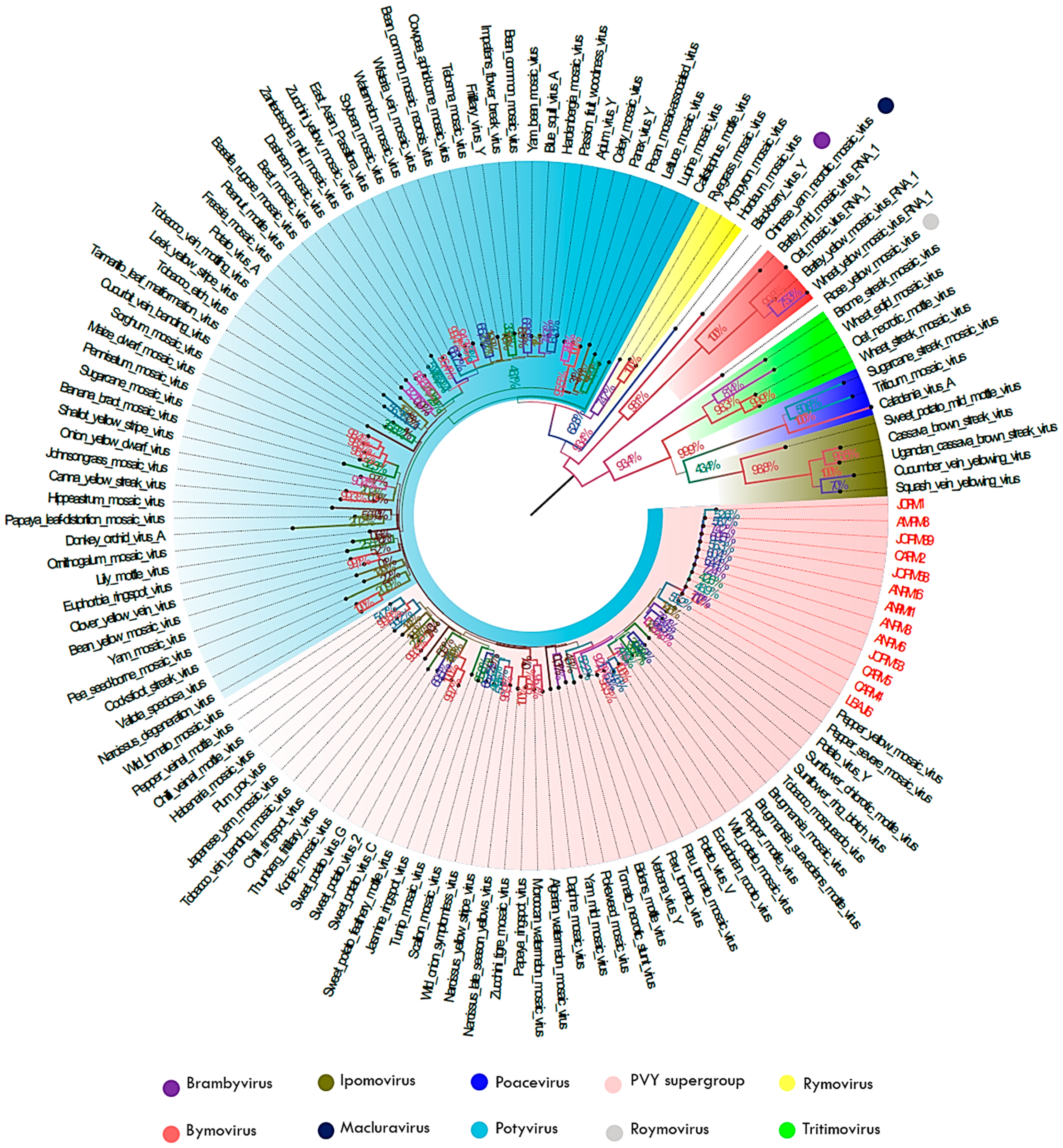 Sustainability 15 14825 g004