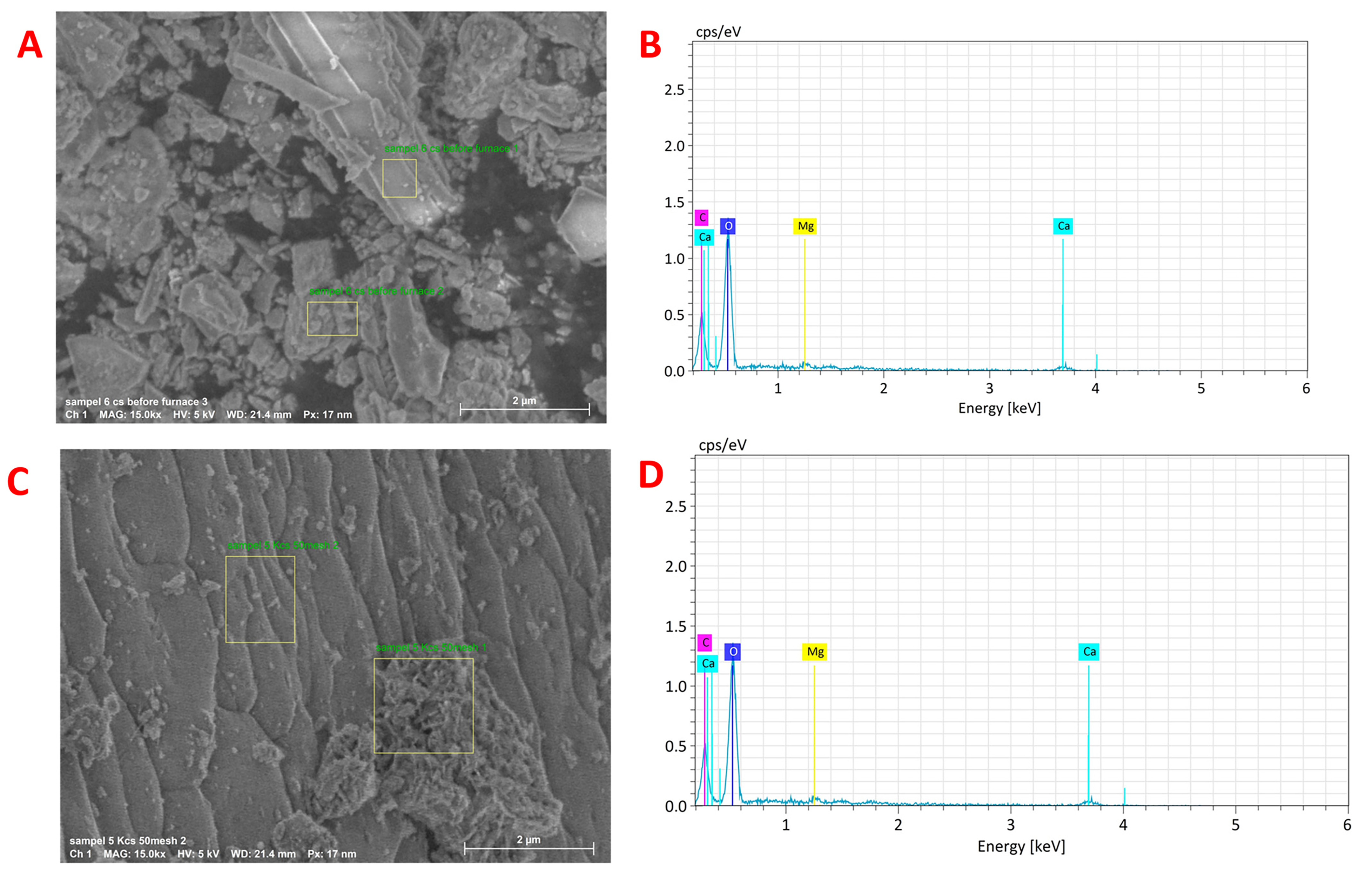 Sustainability 15 14869 g003