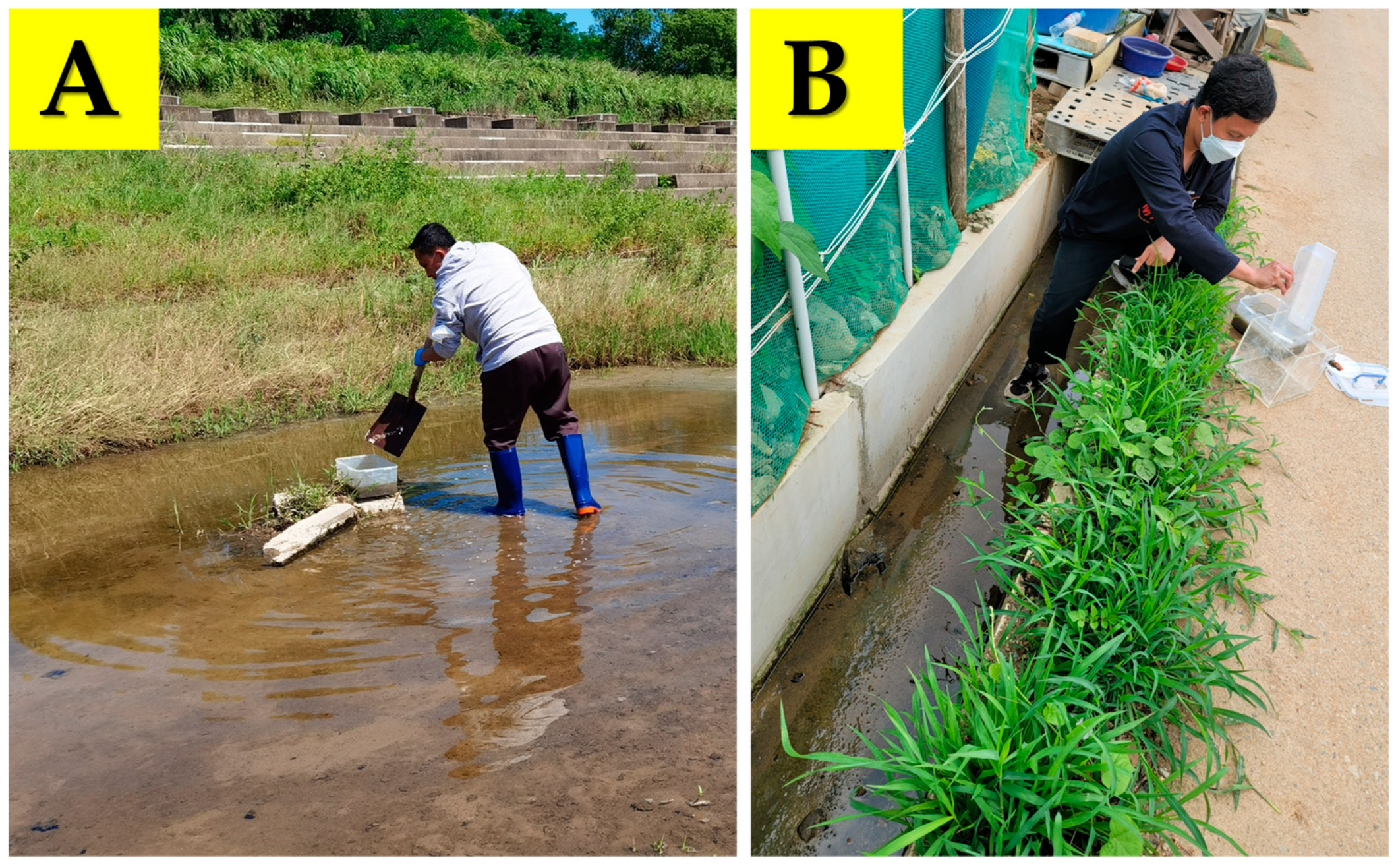 Sustainability 15 14881 g001