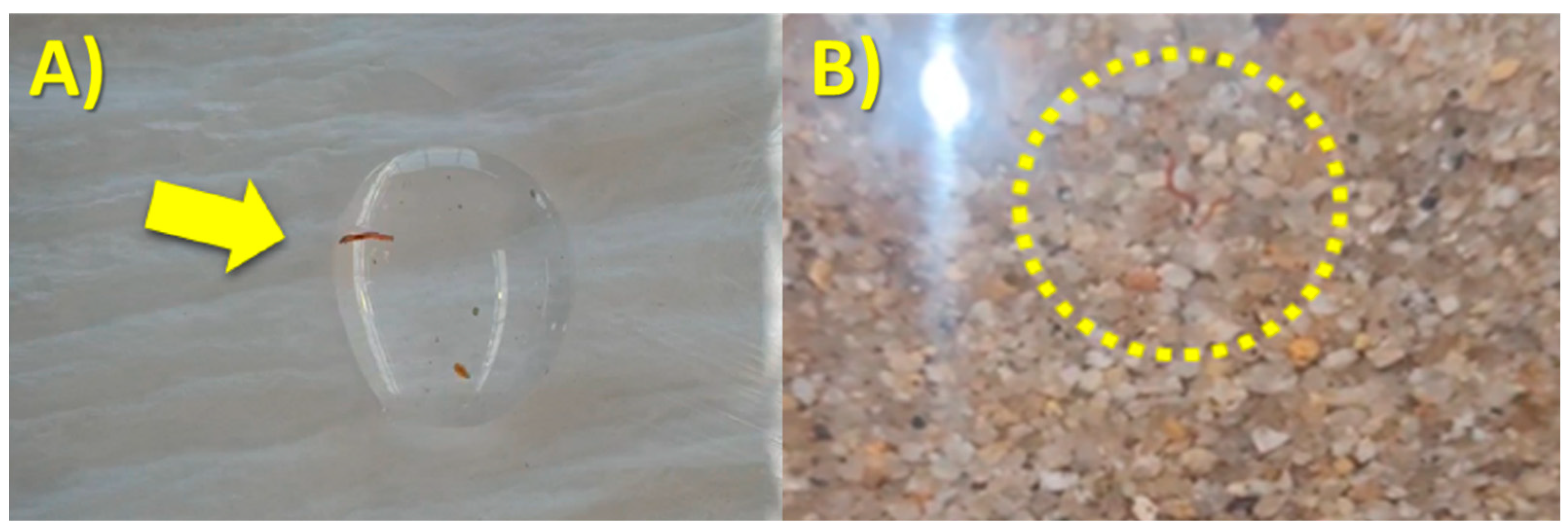 Sustainability 15 14881 g004