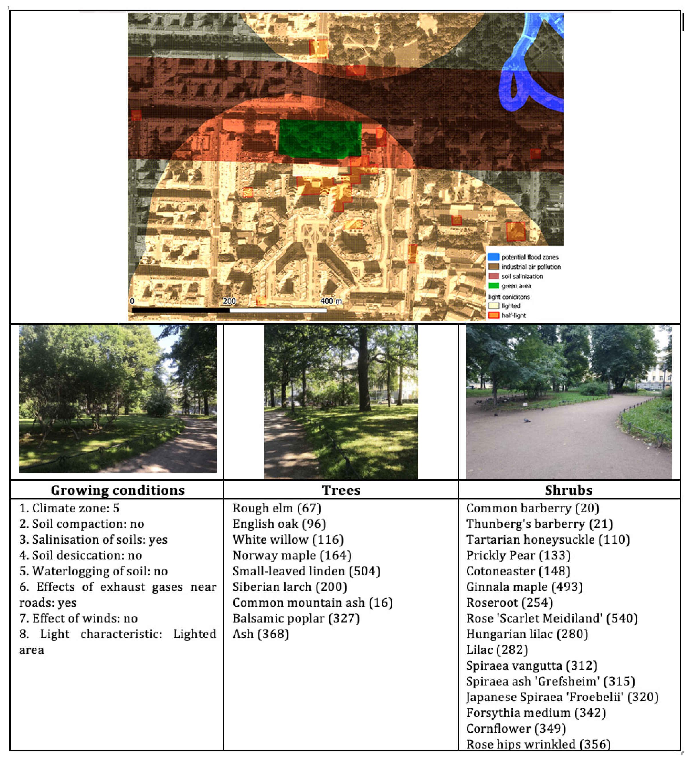 Sustainability 15 14905 g005