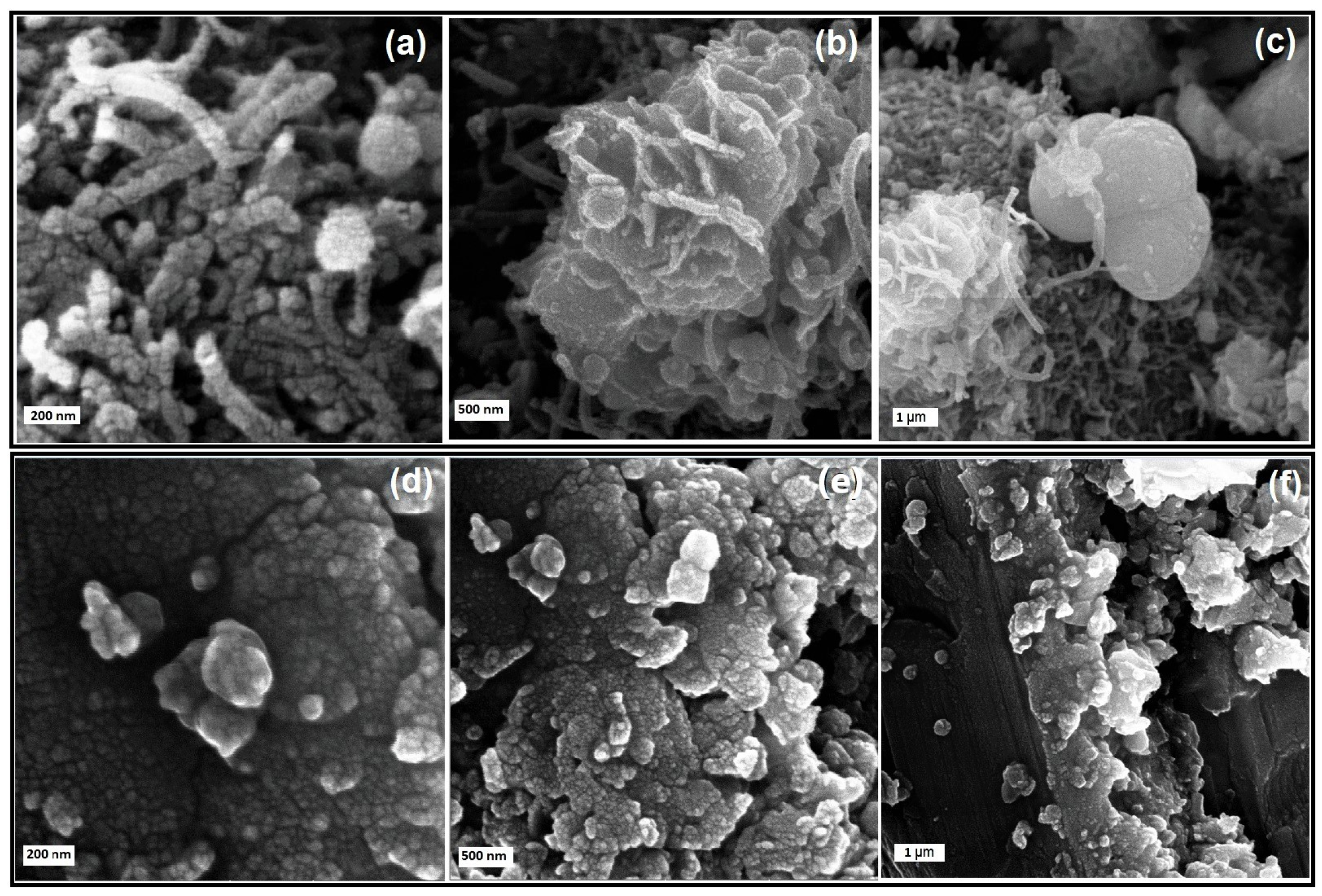 Sustainability 15 14910 g004