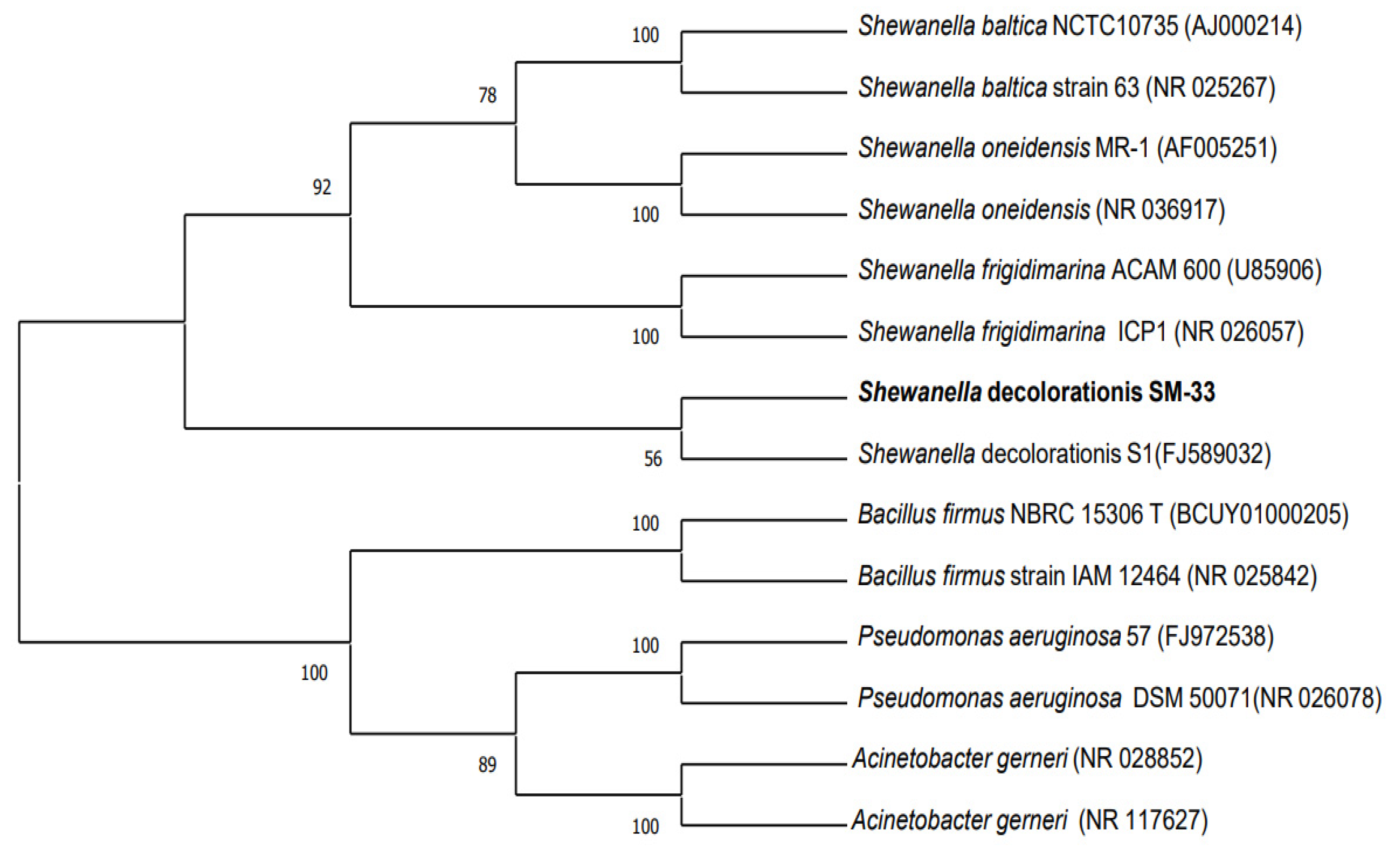 Sustainability 15 14965 g001