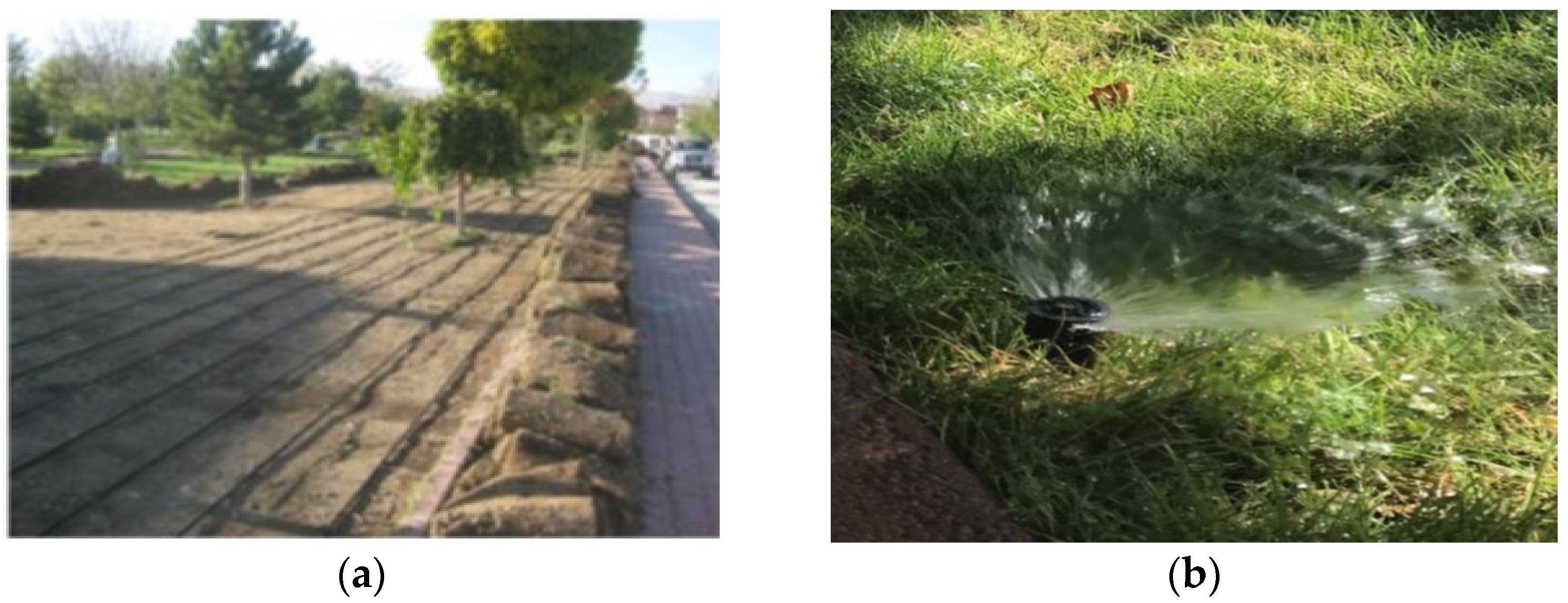 Sustainability 15 15053 g001