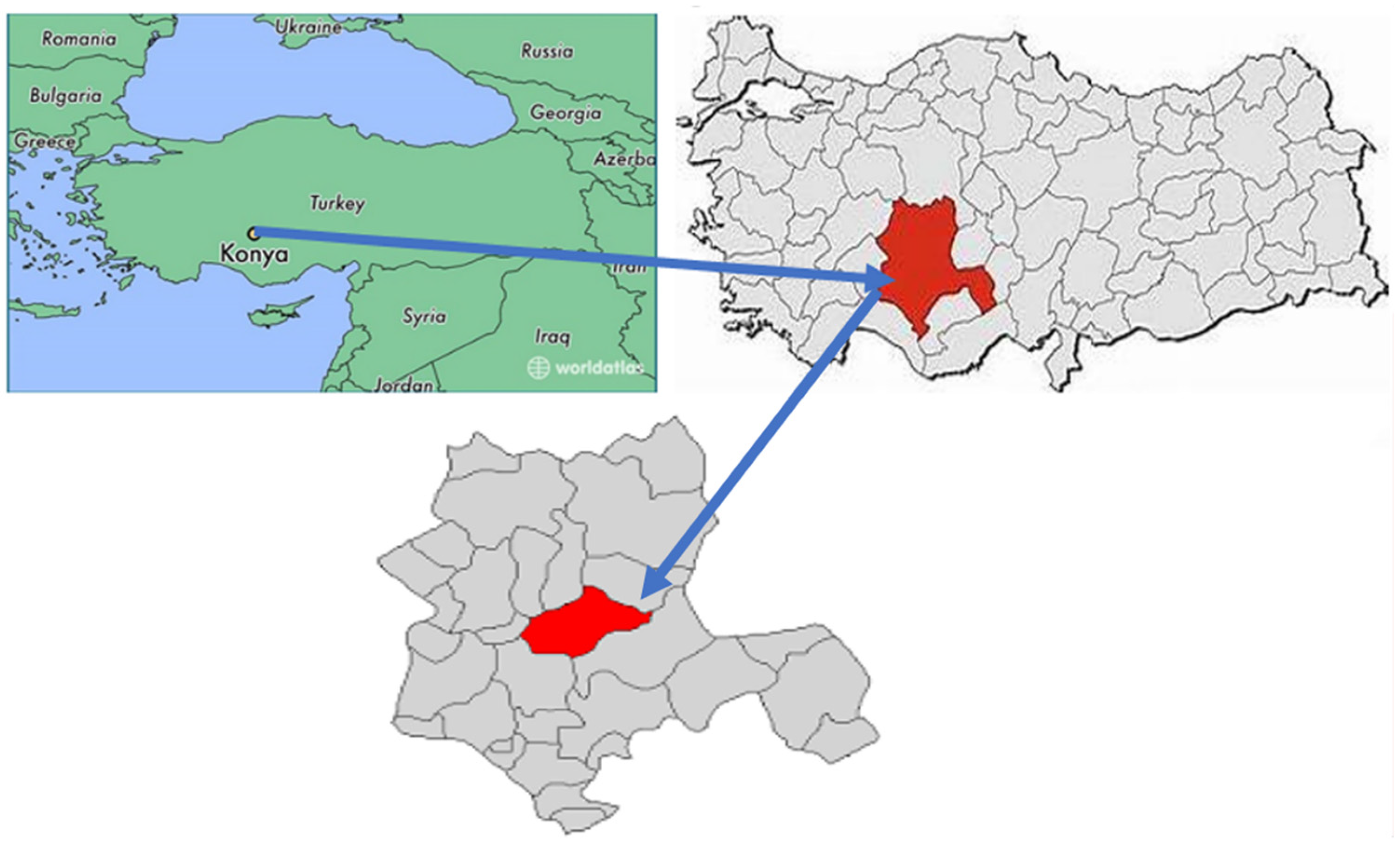 Sustainability 15 15053 g002