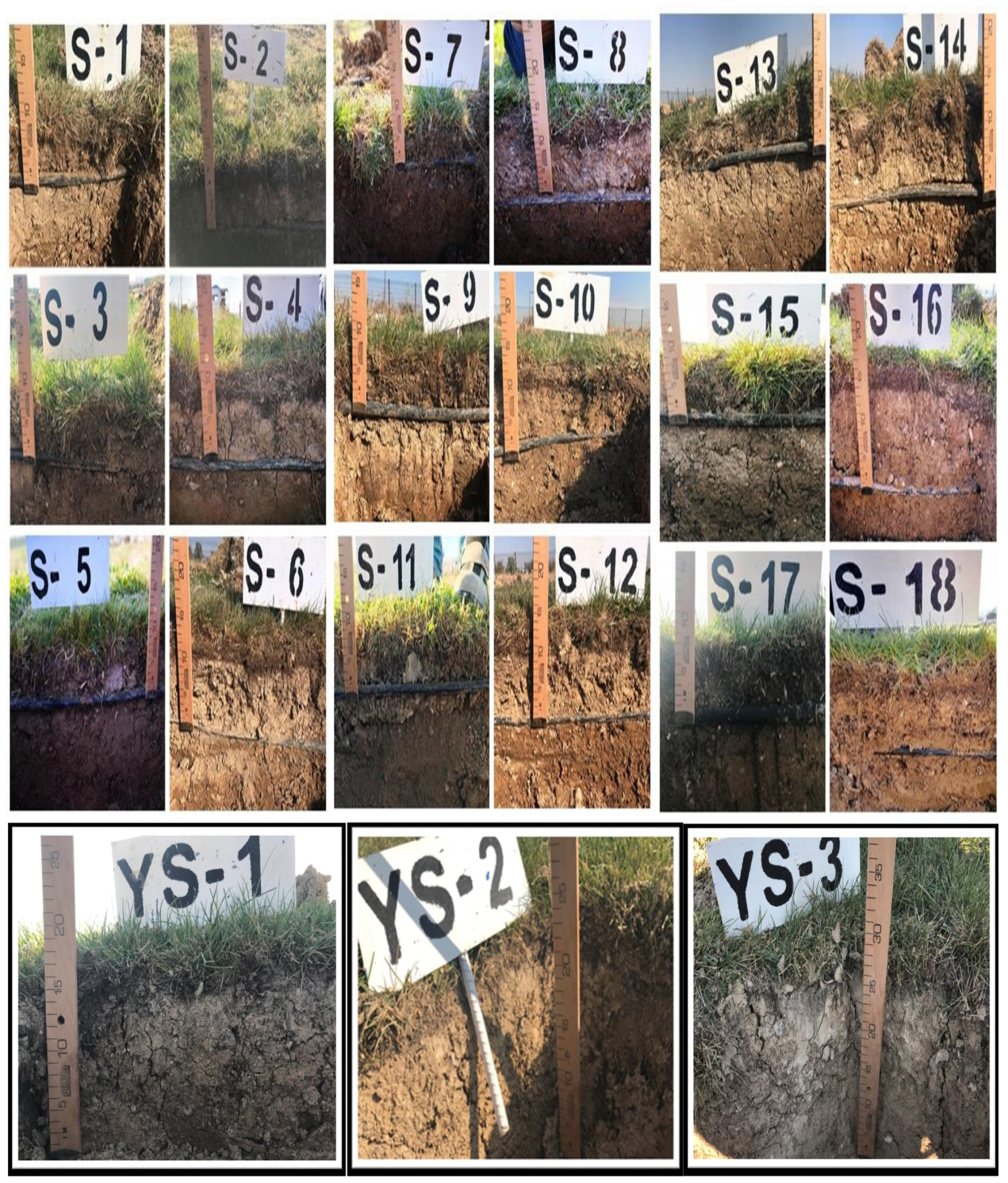 Sustainability 15 15053 g009