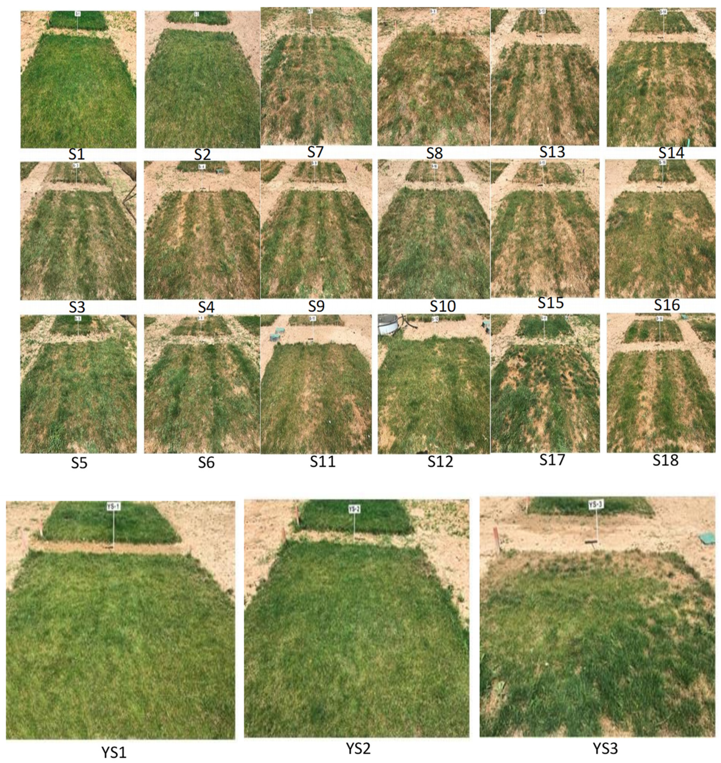 Sustainability 15 15053 g010