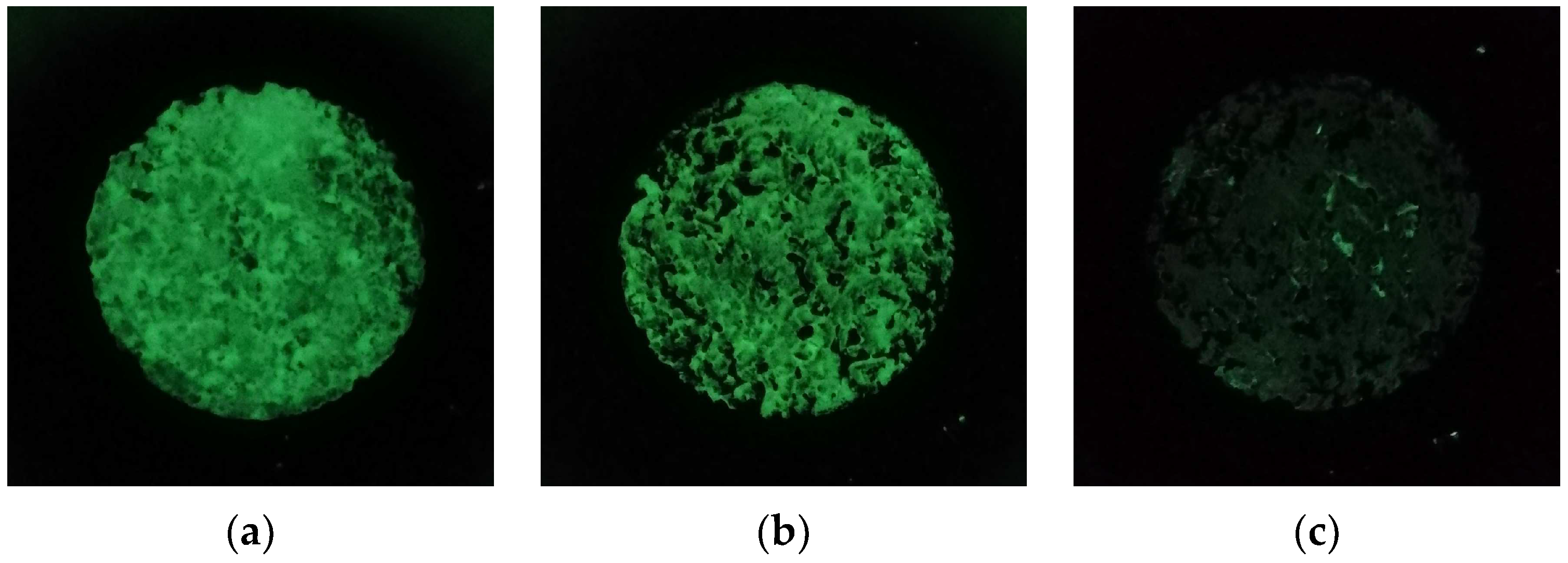 Sustainability 15 15078 g008