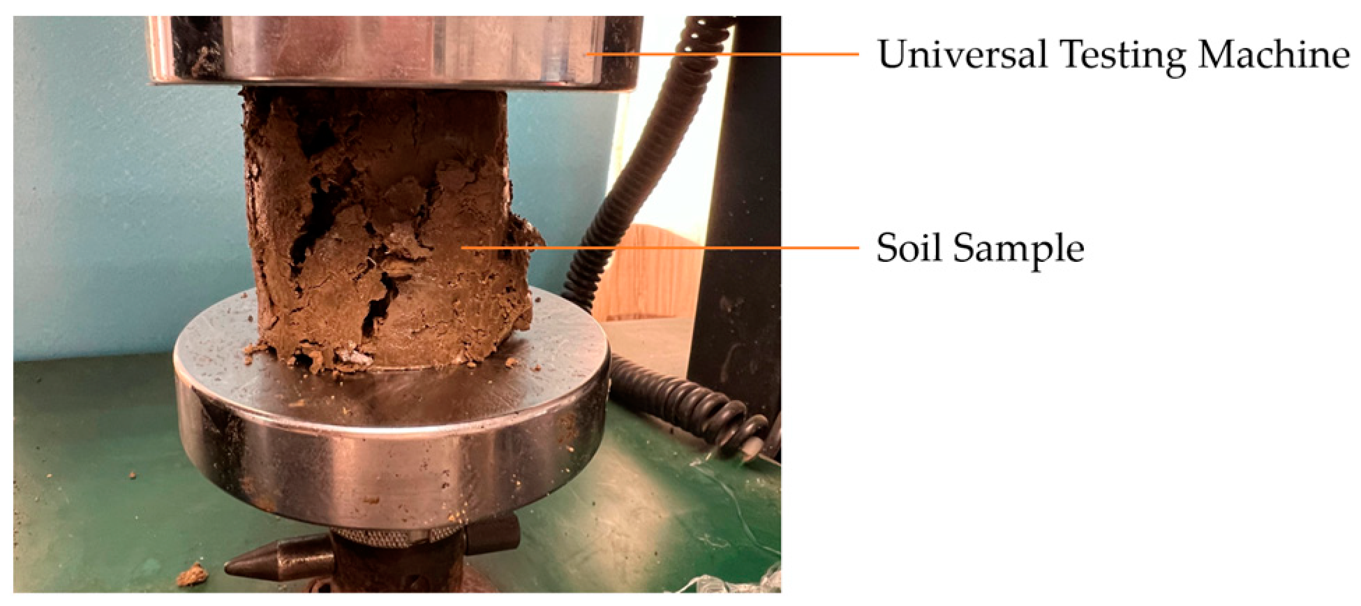 Sustainability 15 15079 g004