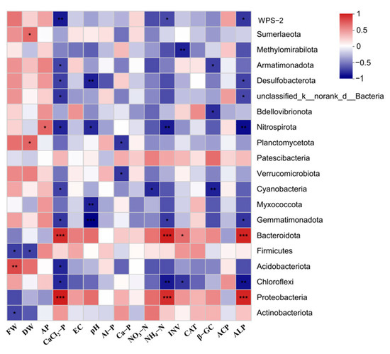Insights into Opposite and Positive Effects of Biochar and