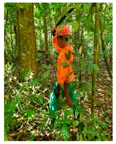 Sustainability 15 15147 i002 Sustainability 15 15147 i002