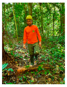 Sustainability 15 15147 i003 Sustainability 15 15147 i003