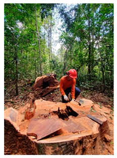 Sustainability 15 15147 i004 Sustainability 15 15147 i004